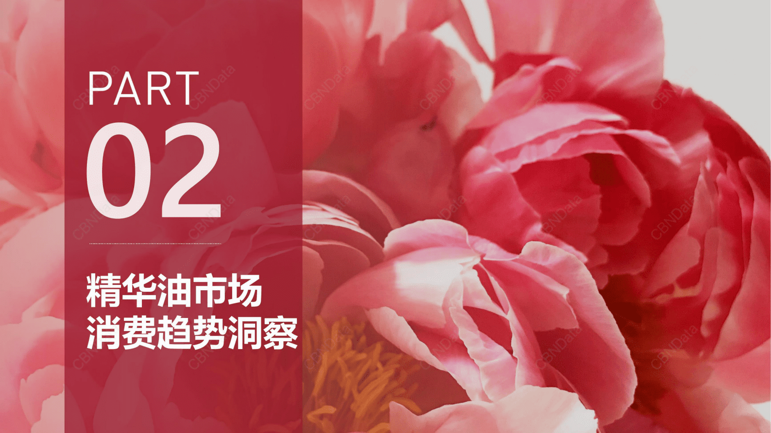 CBNData：2023油类精华消费趋势洞察报告 第6页