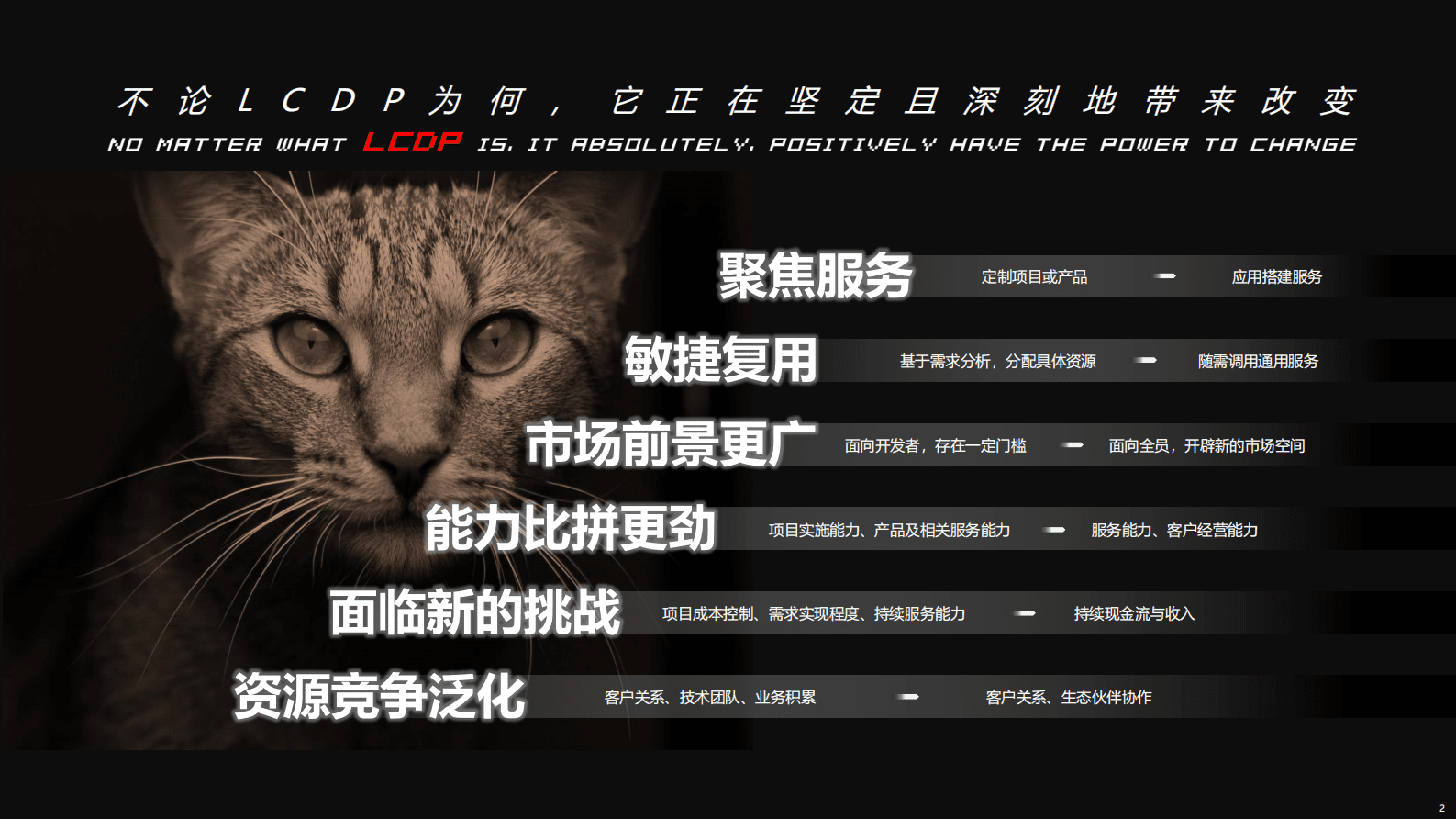 T研究：沉舟病树总归雨打风吹去：数字化浪潮助澜低代码应用开发平台的新进程 第2页