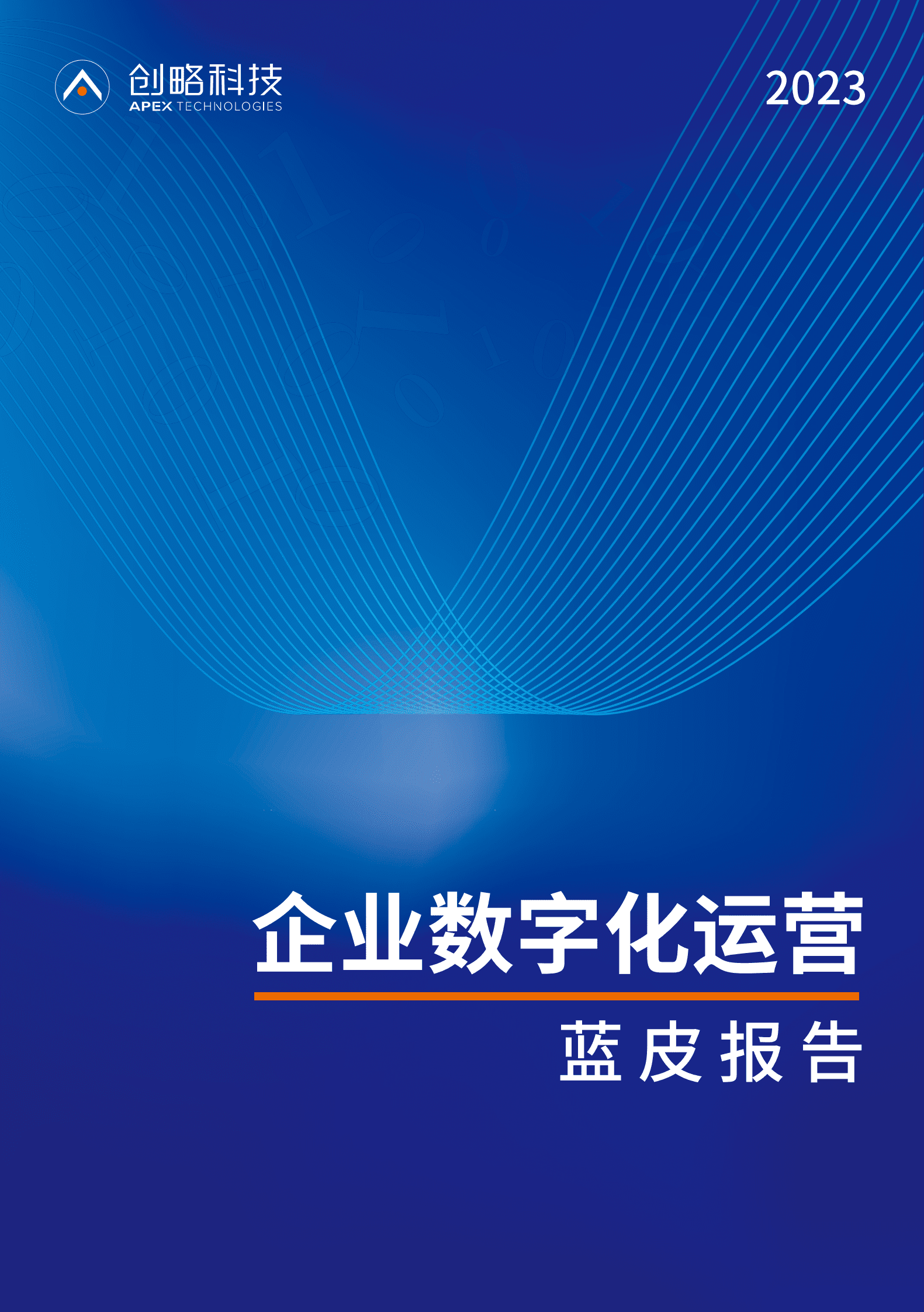 创略科技：2023企业数字化运营蓝皮报告 第1页