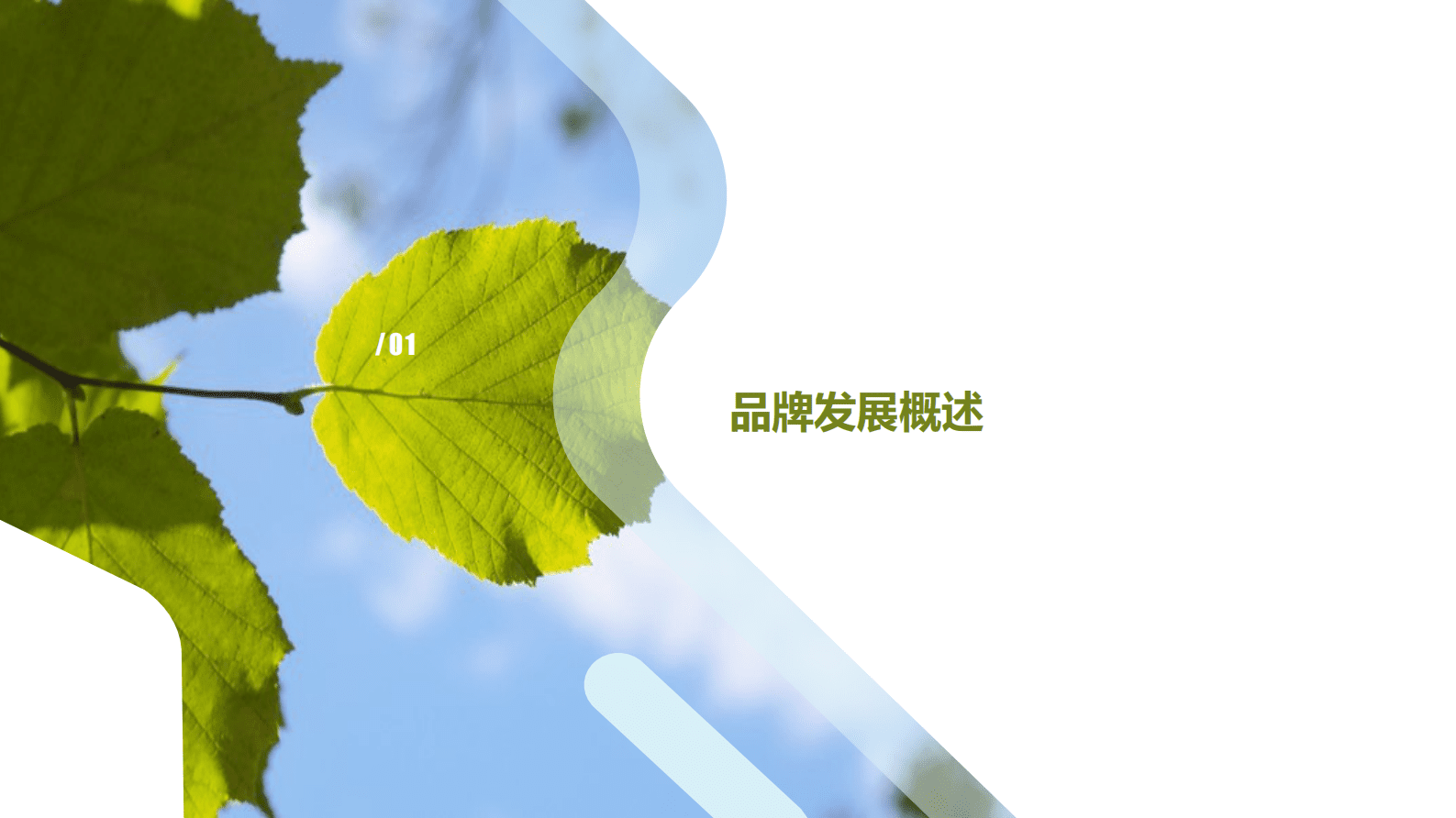 欧特欧咨询：惊蛰&mdash;&mdash;2022中国农产品区域公用品牌网络零售发展白皮书 第5页