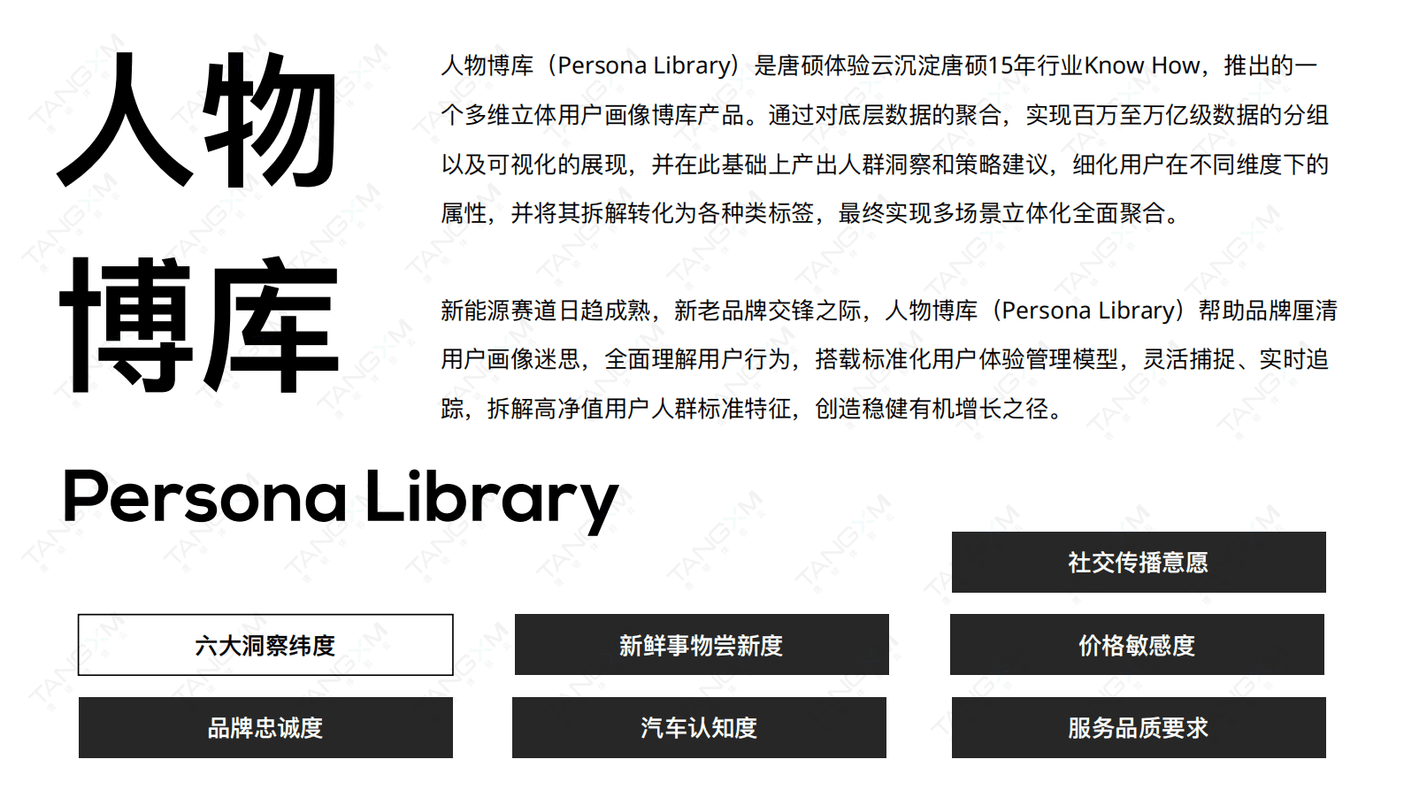 唐硕：2022年新能源汽车行业人群洞察报告 第2页