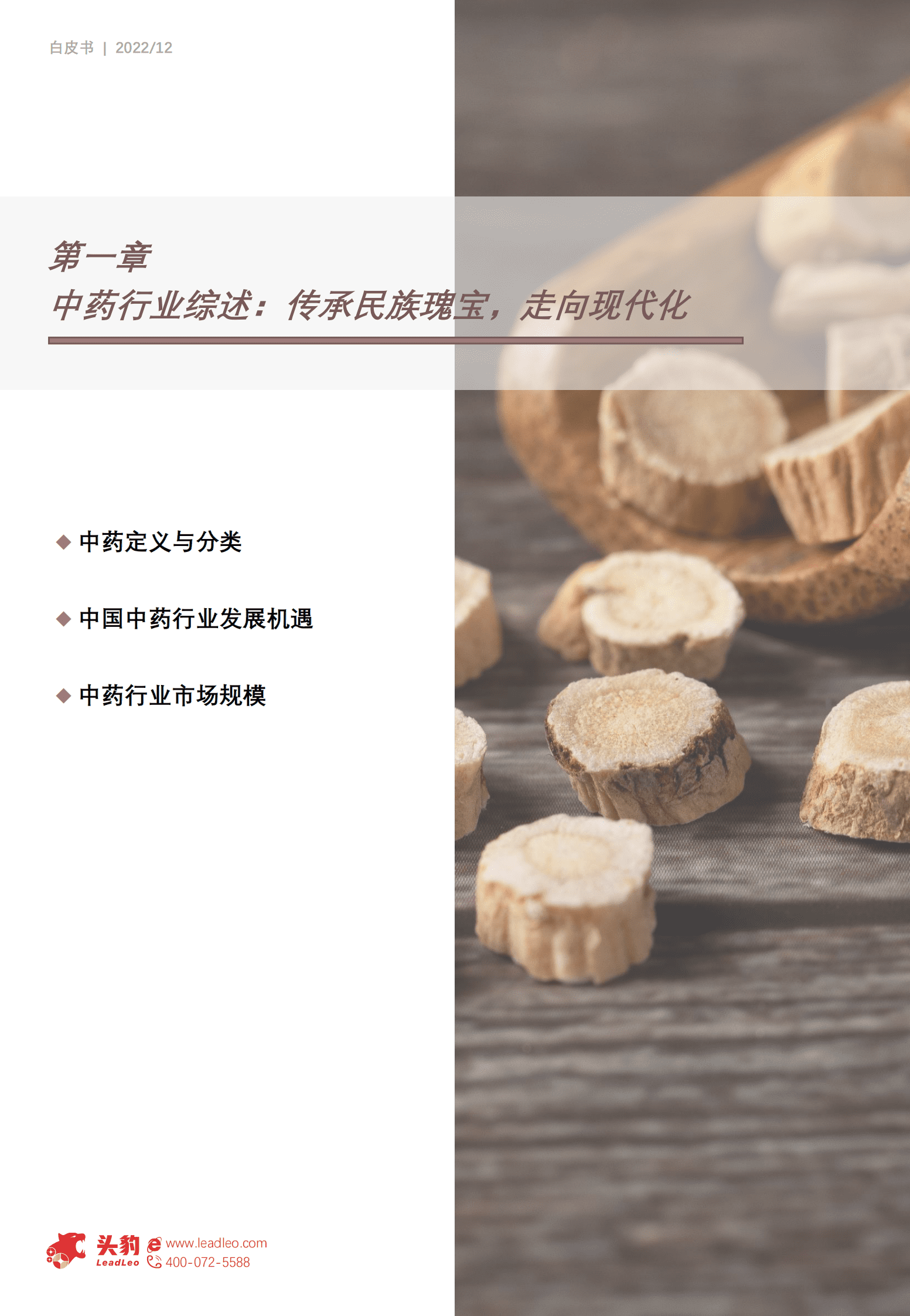 2022年中国专精特新系列研究报告：中药行业 ――守旧创新迎发展 第3页