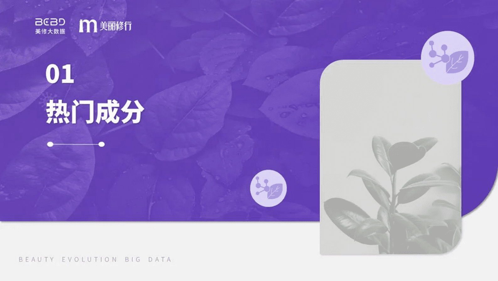 美丽修行：植物提取物在美妆行业的应用趋势 第3页