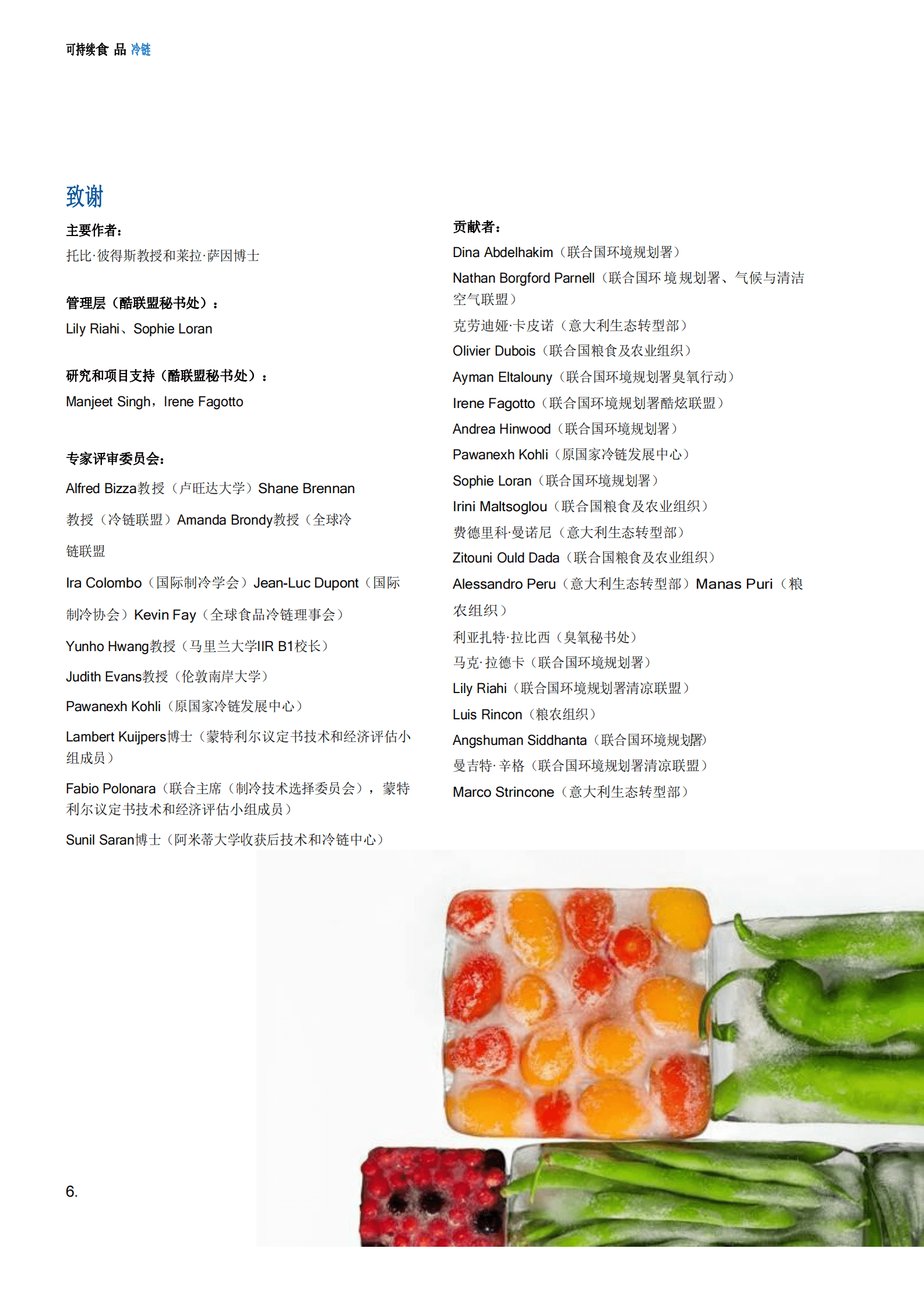 联合国环境规划署：可持续的食品冷链 第6页
