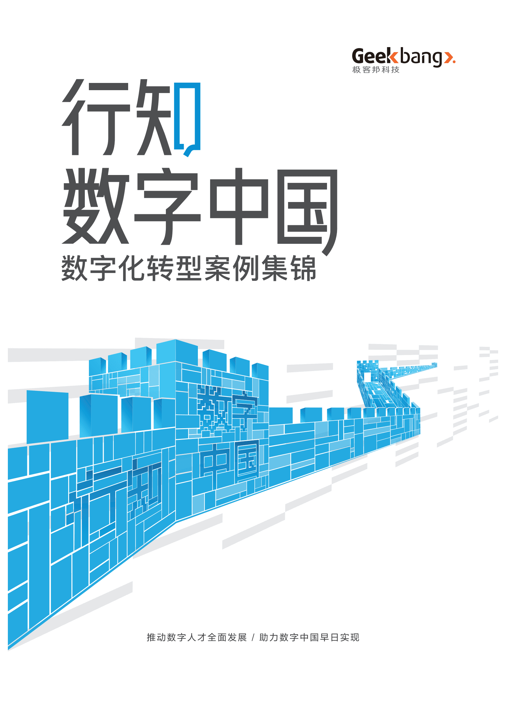 极客帮：2023数字化转型案例集锦 第1页