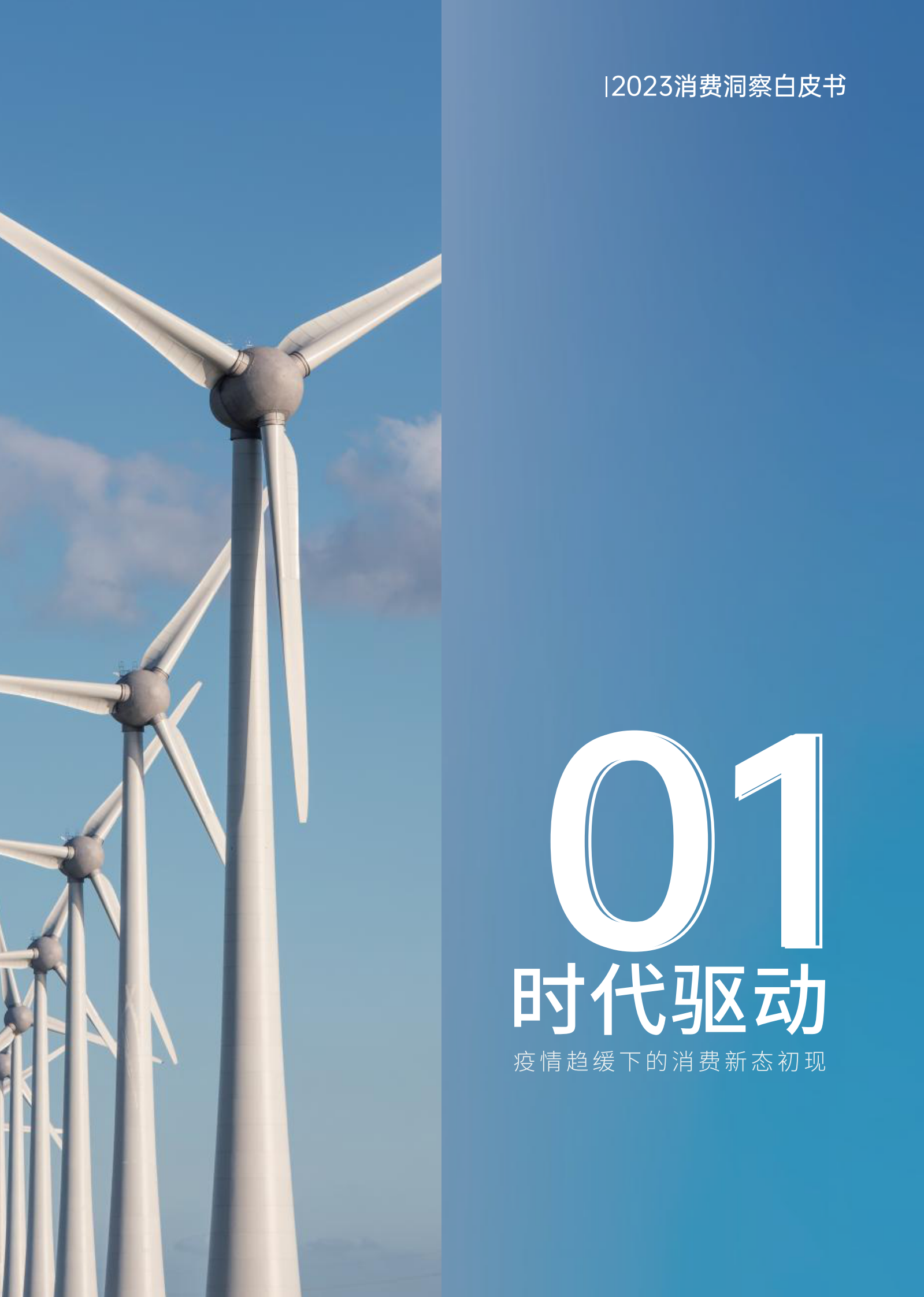 兴业银行&Visa：2023年度消费洞察白皮书 第4页