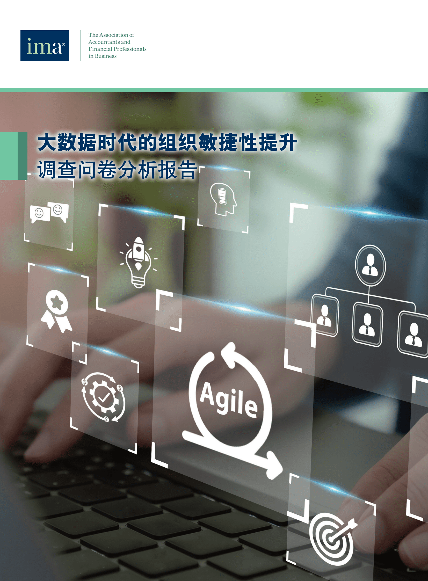 IMA：大数据时代的组织敏捷性提升调查问卷分析报告 第1页