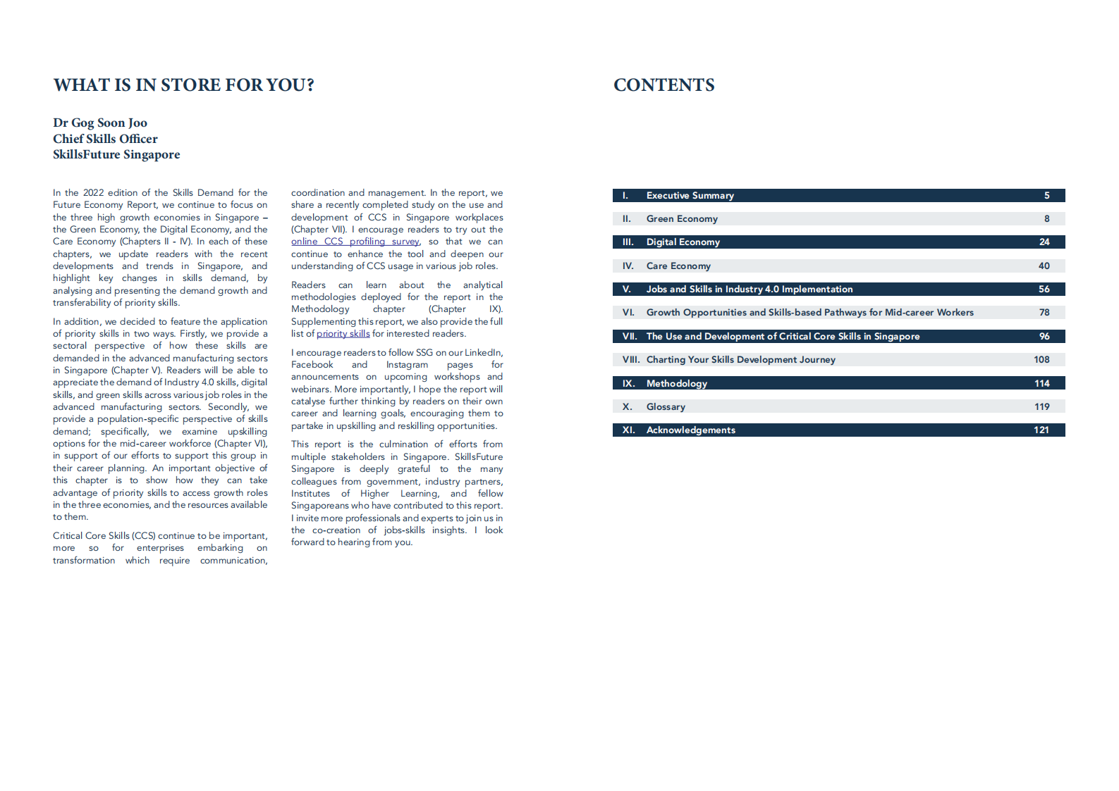 SkillsFuture：2022年未来经济技能需求报告【英文版】 第3页