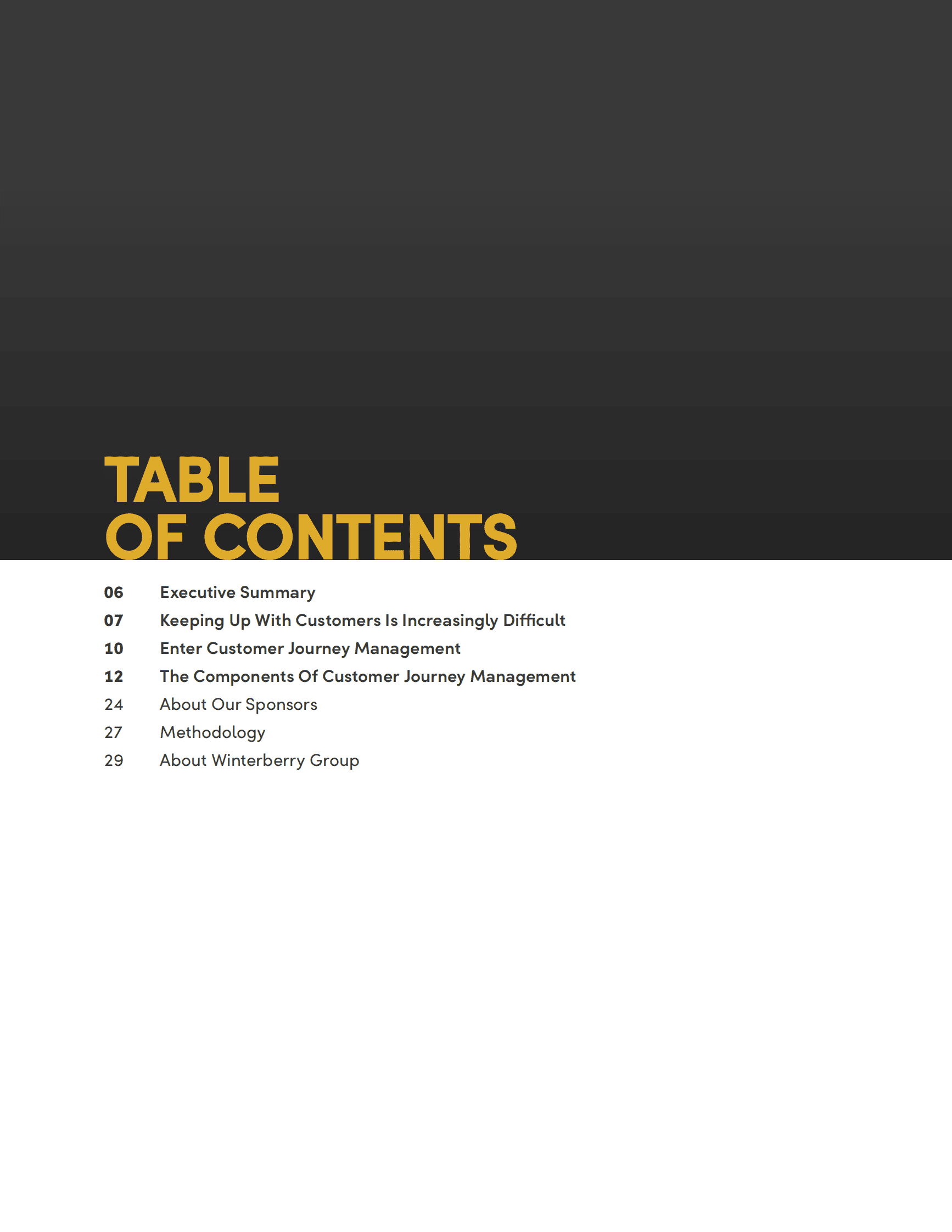 Winterberry Group：客户旅程管理的演变报告【英文版】 第4页