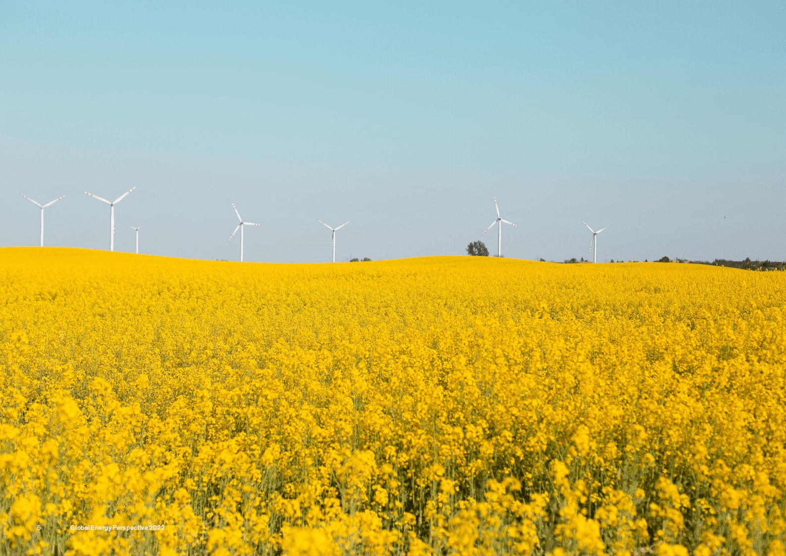 麦肯锡公司：2022年全球能源行业洞察Global Energy Perspective 第5页