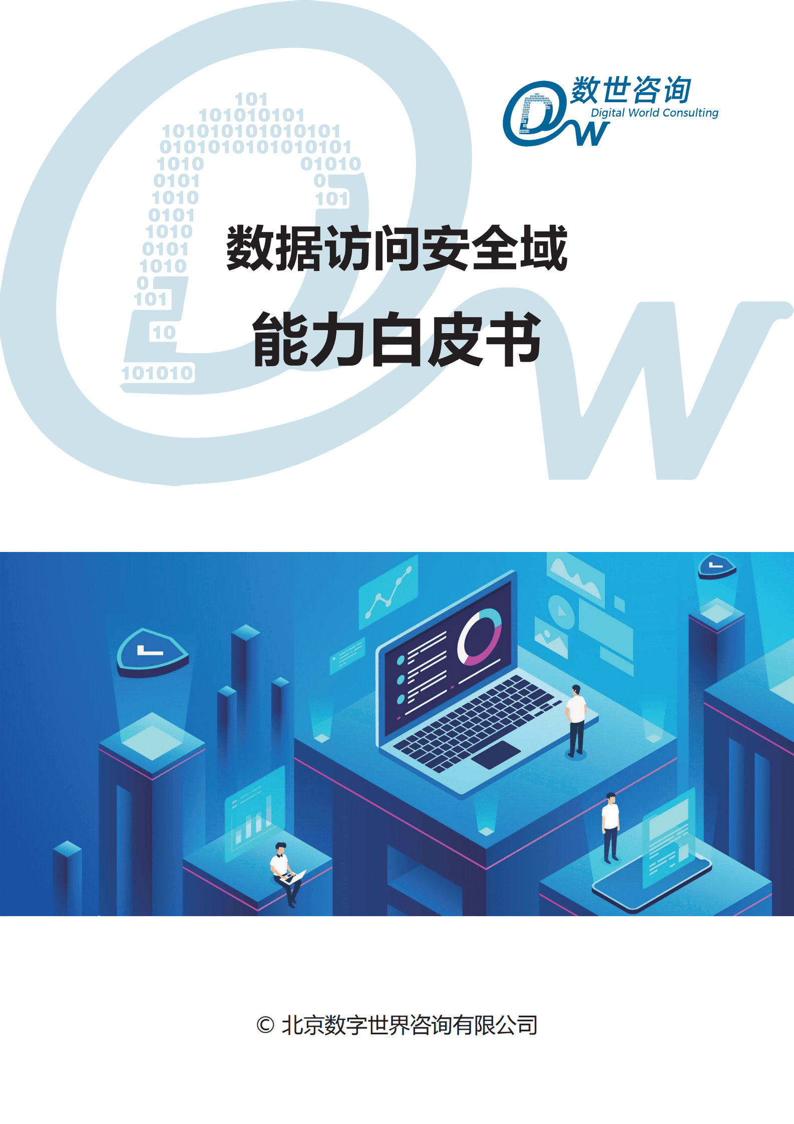 数世咨询：数据访问安全域能力白皮书 第1页