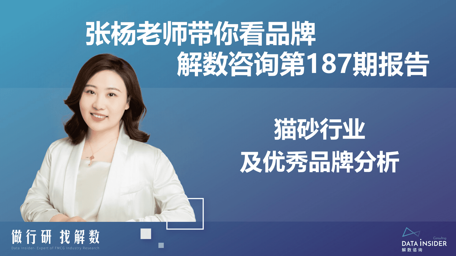 解数咨询：猫砂行业及优秀品牌分析 第2页