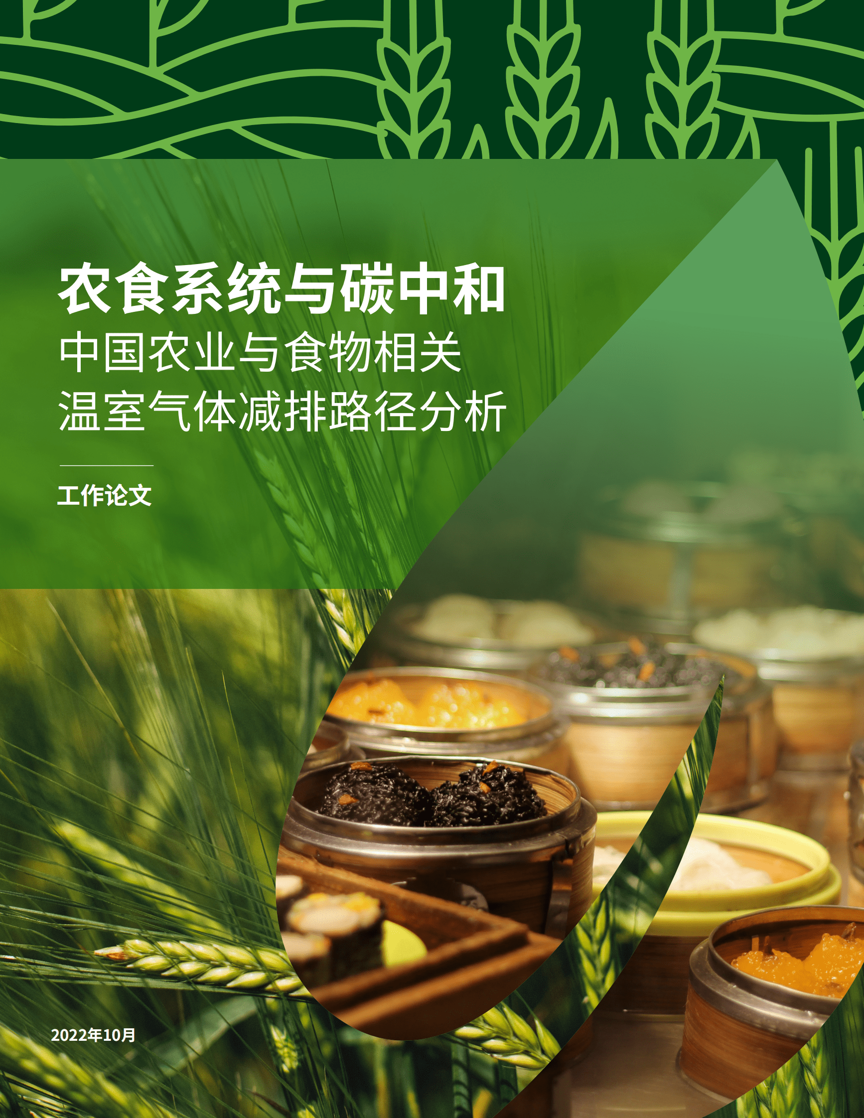 绿色创新发展中心：中国农业与食物相关温室气体减排路径分析 第1页