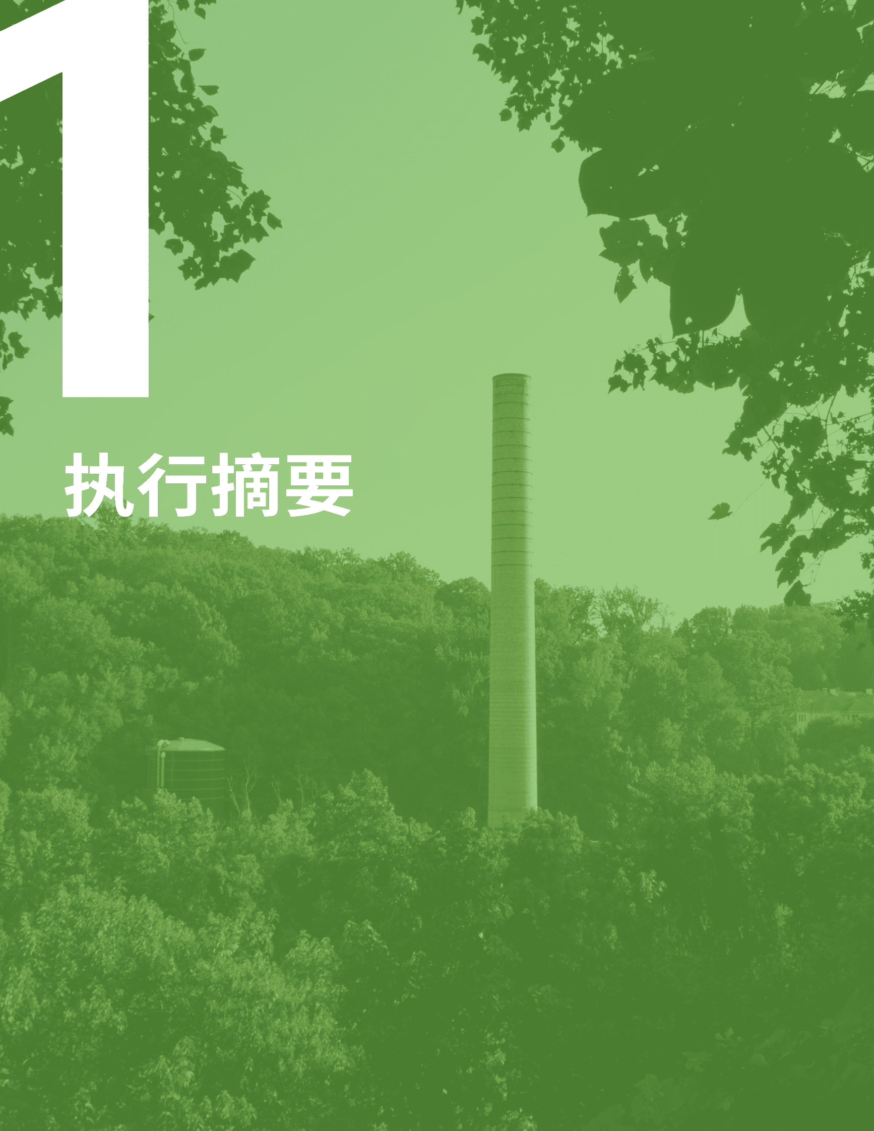 绿色创新发展中心：中国省级气候行动进程与展望 第3页