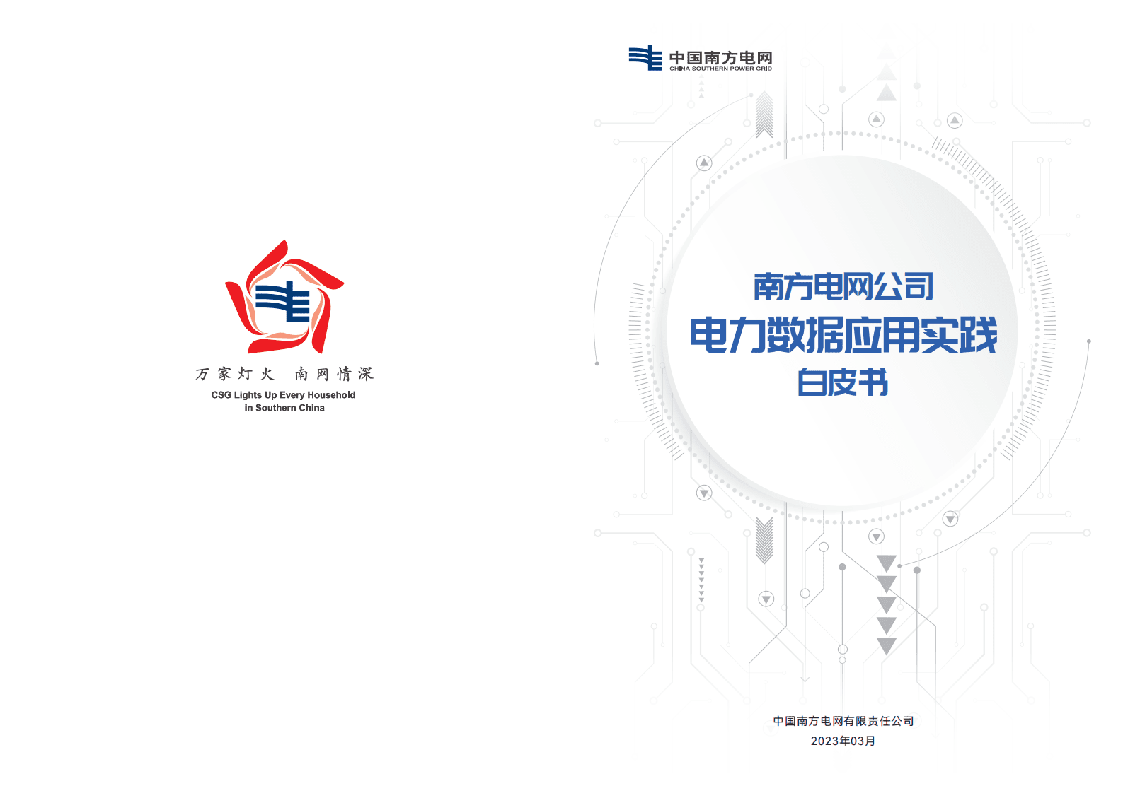 南方电网：电力数据应用实践白皮书 第1页