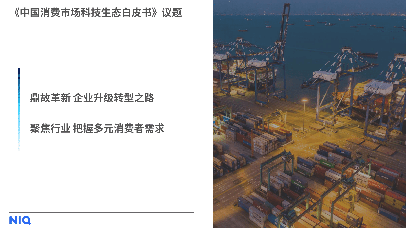 尼尔森IQ：中国消费市场科技生态白皮书&全球突破性创新白皮书 第3页