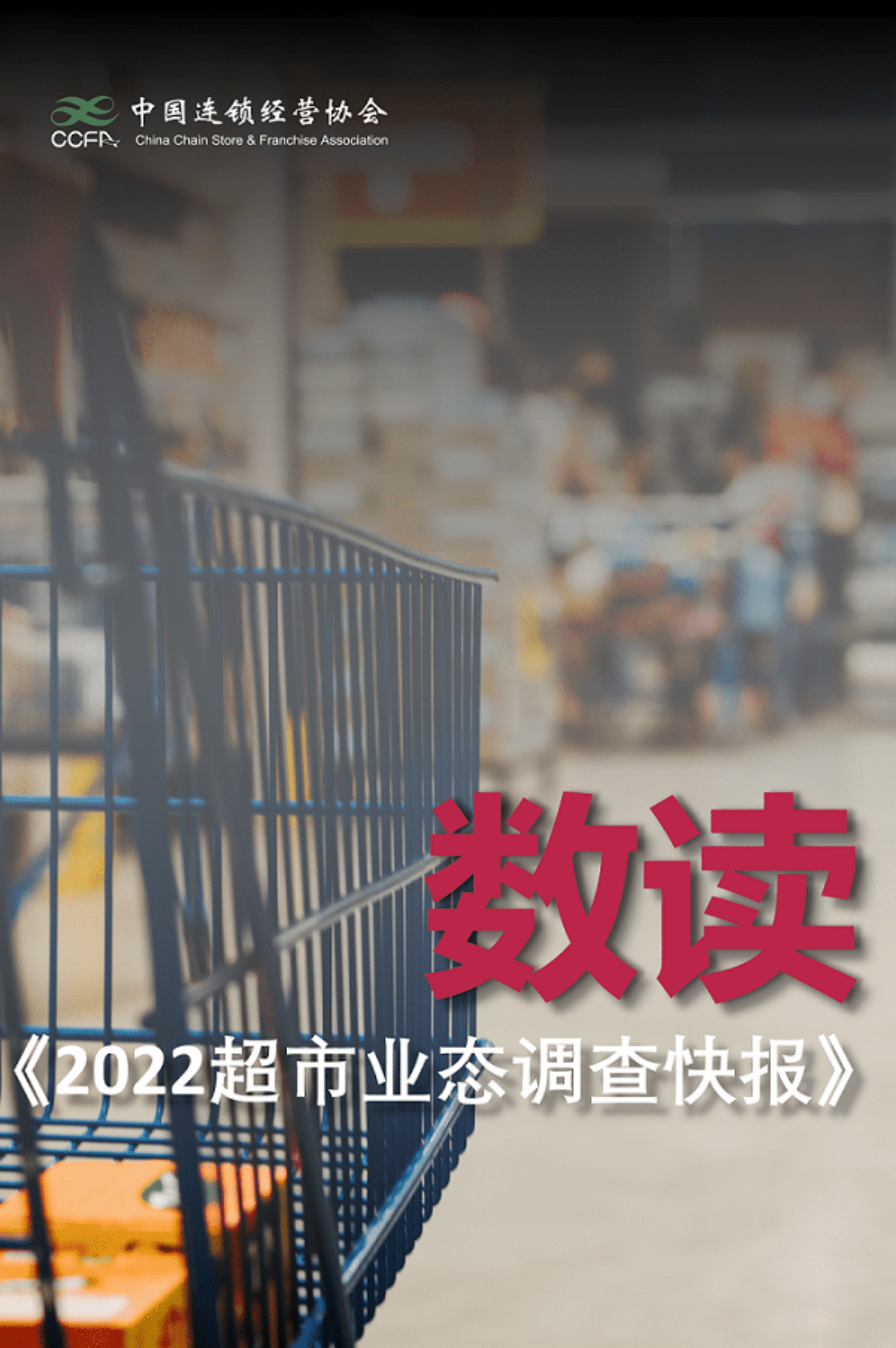 2022超市业态调查快报 第1页