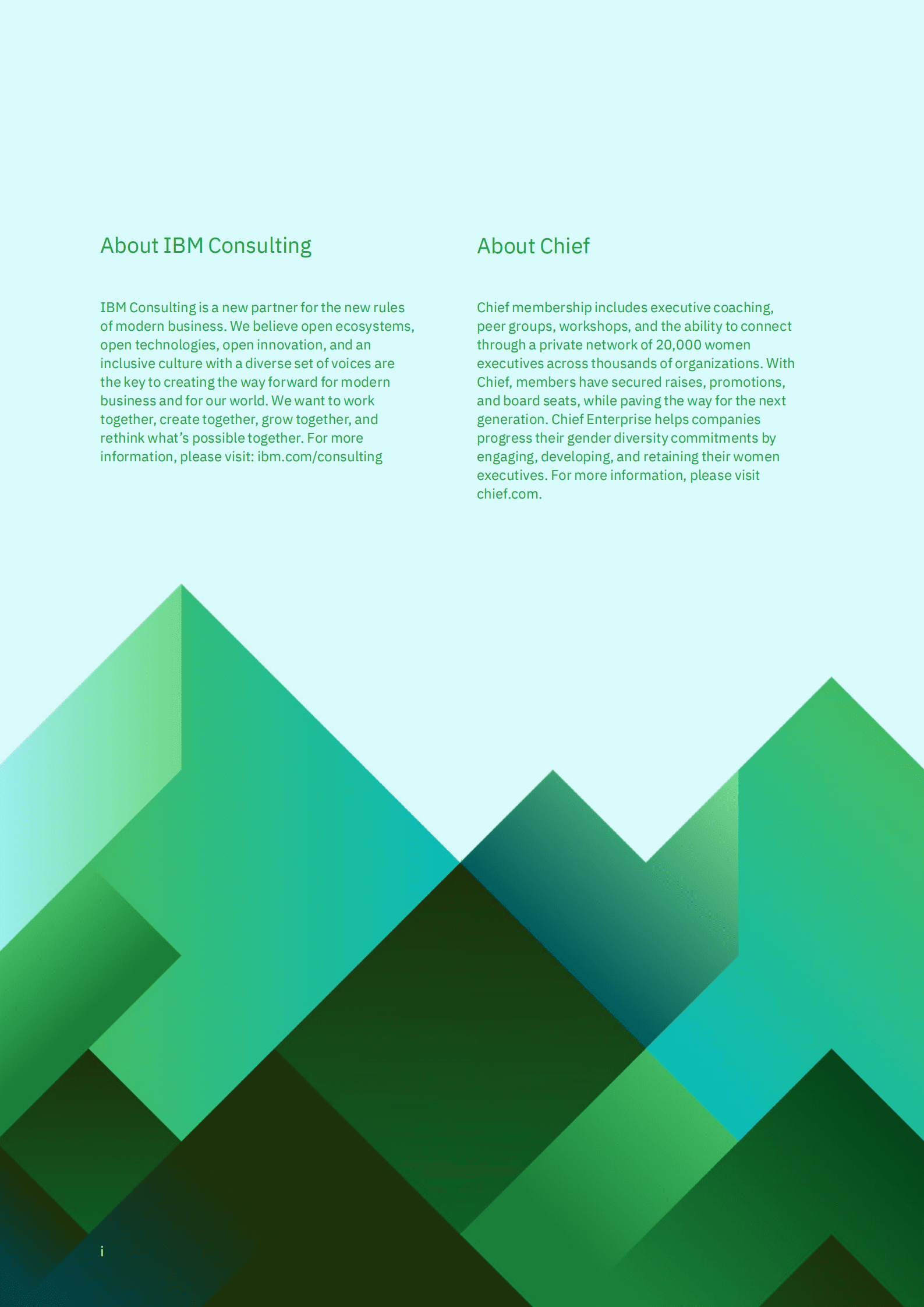 2023年女性领导力【英文版】 第2页