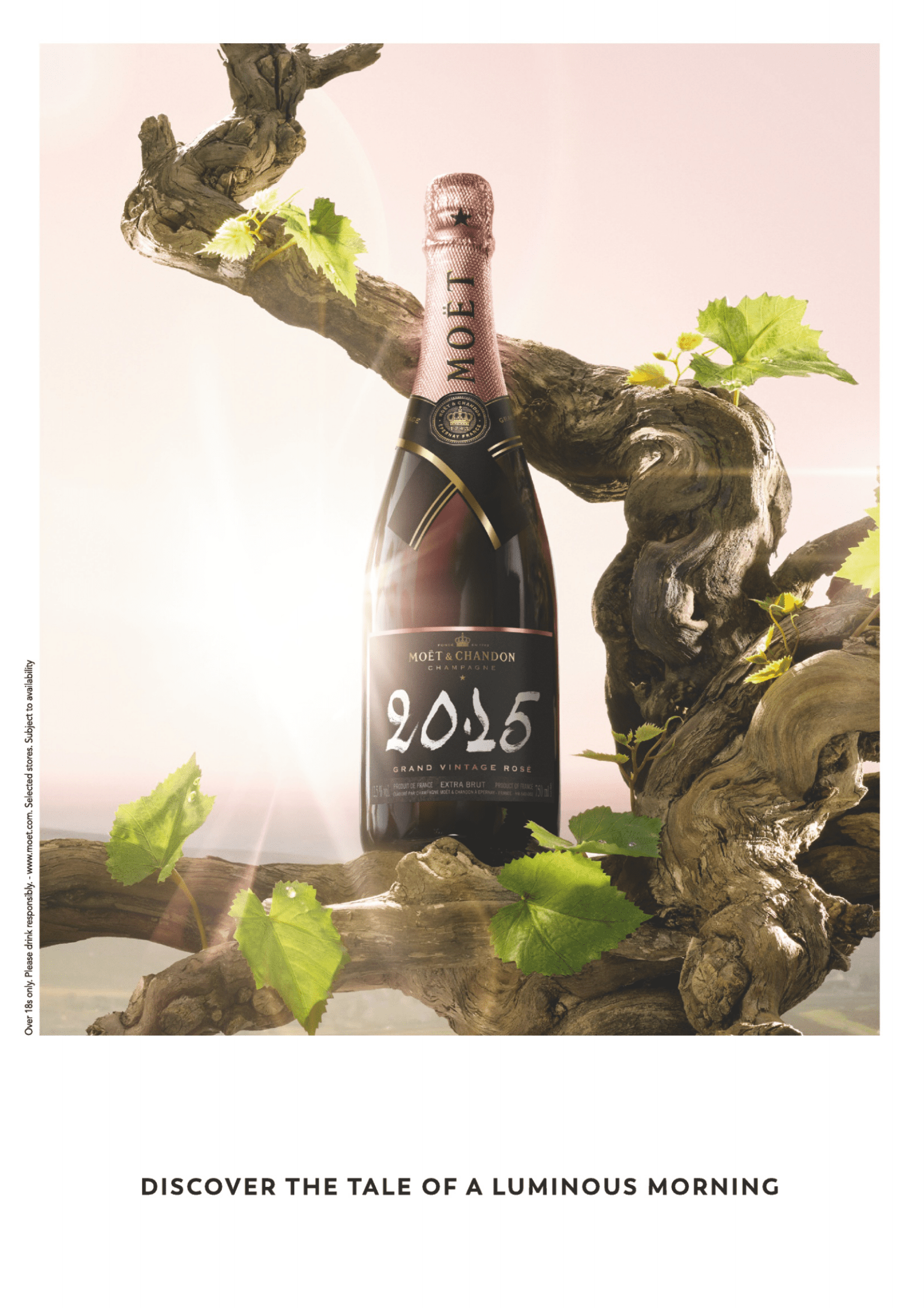 2023年全球最受欢迎的香槟品牌【英文版】 第2页