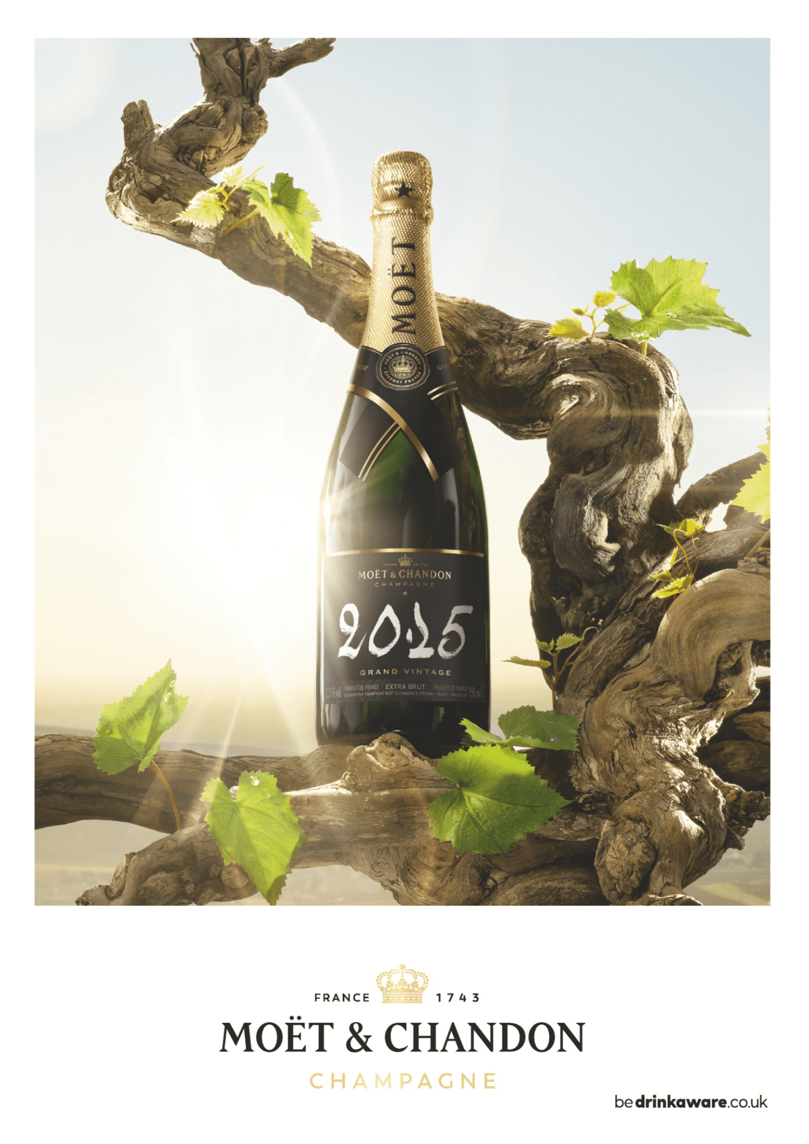 2023年全球最受欢迎的香槟品牌【英文版】 第3页