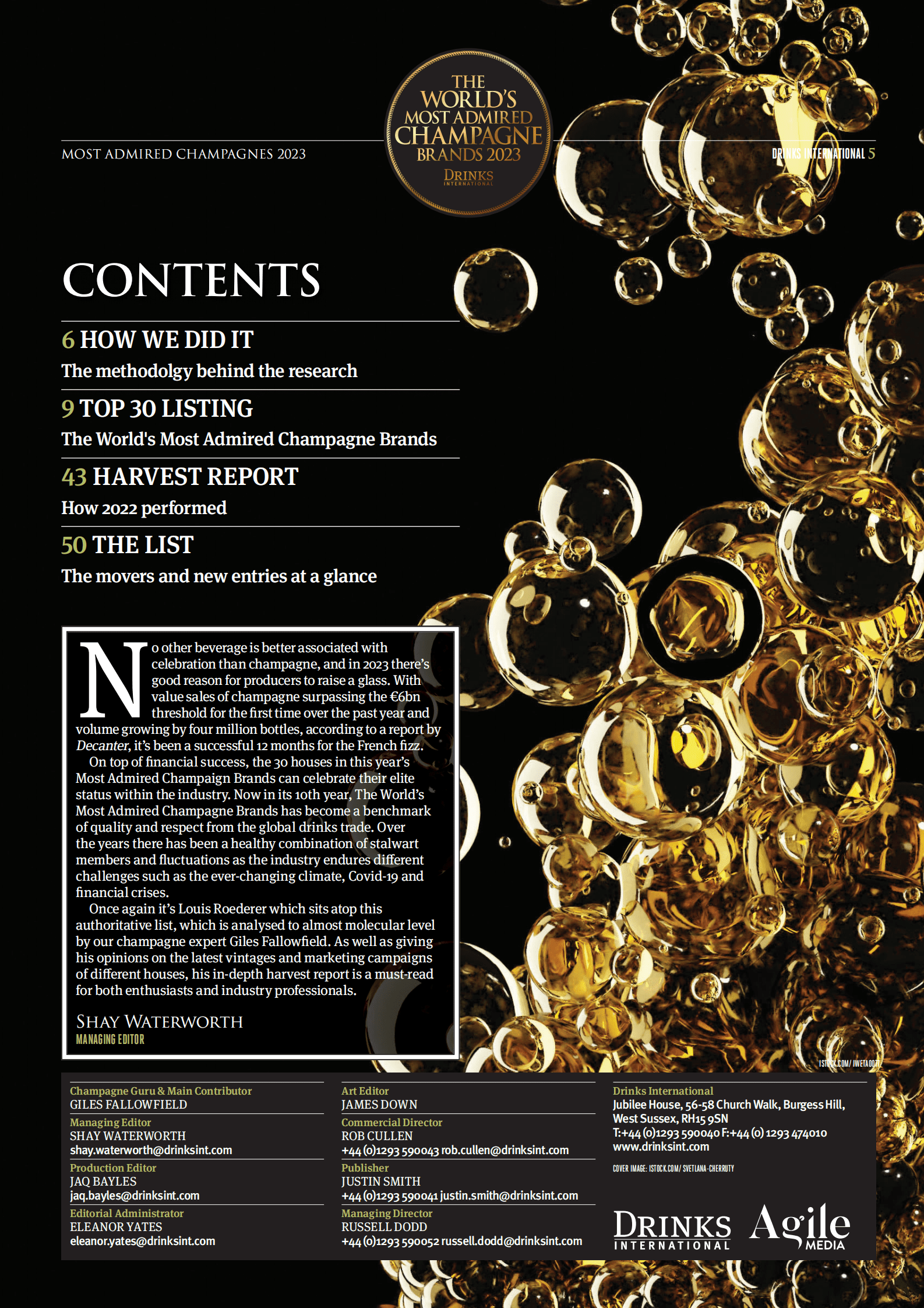 2023年全球最受欢迎的香槟品牌【英文版】 第5页