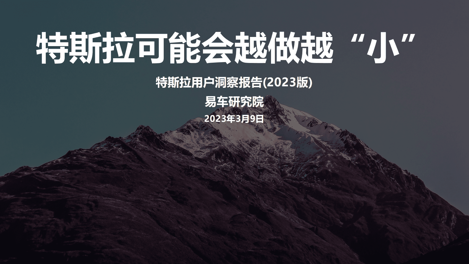 易车研究院：特斯拉用户洞察报告（2023版） 第1页