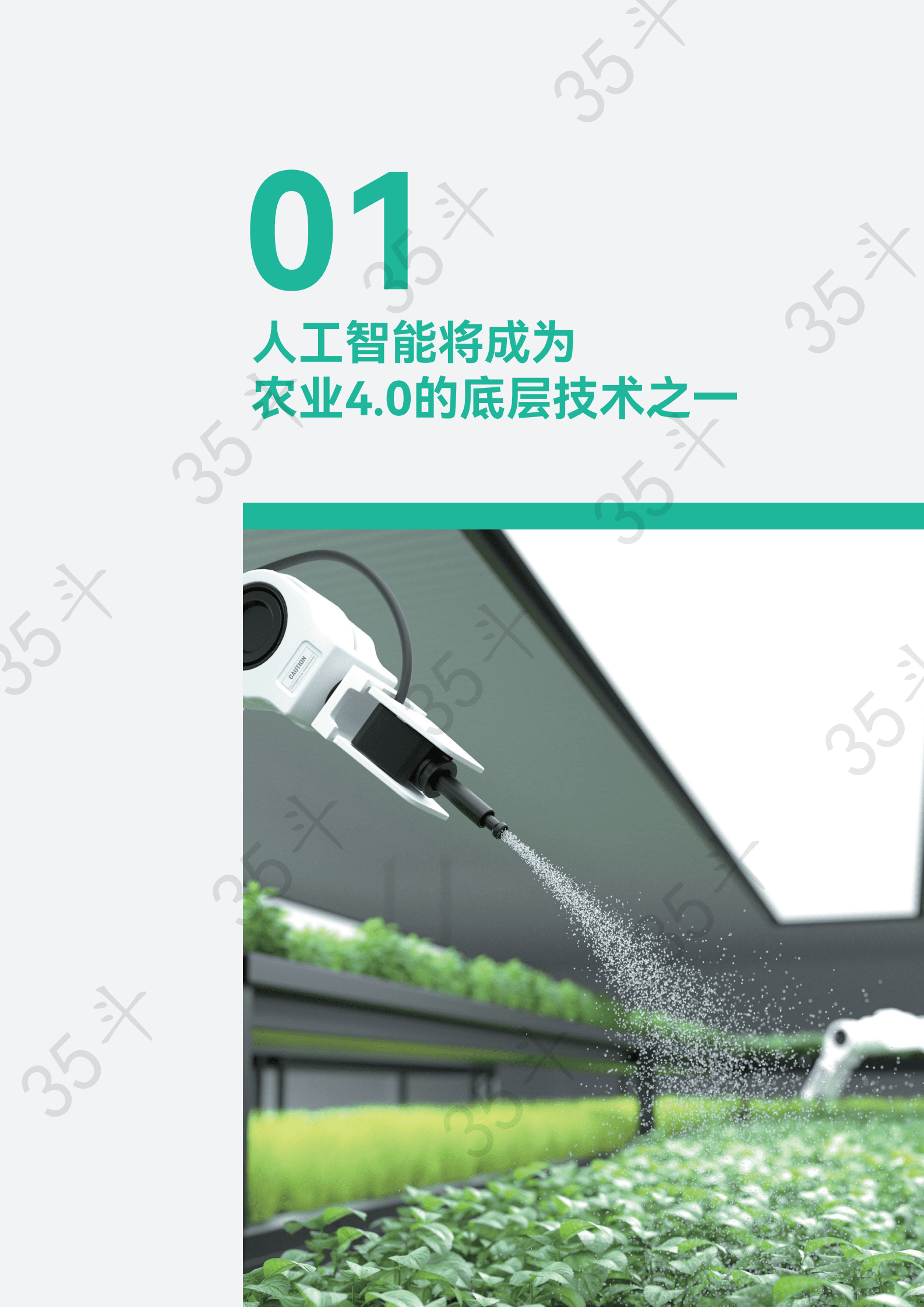 聚变：中国农业人工智能白皮书 第6页