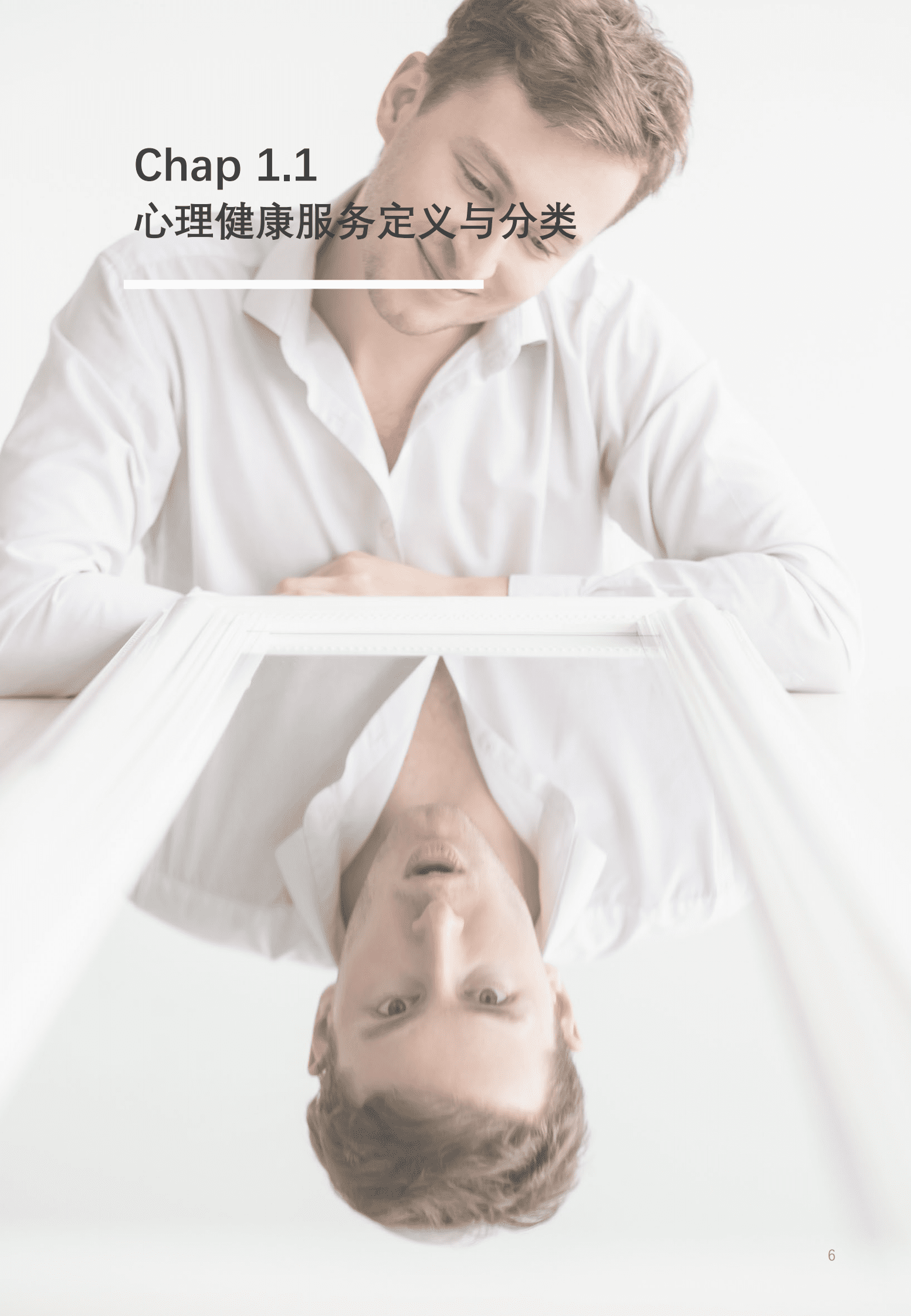 沙利文：2023中国心理数字疗法白皮书 第6页