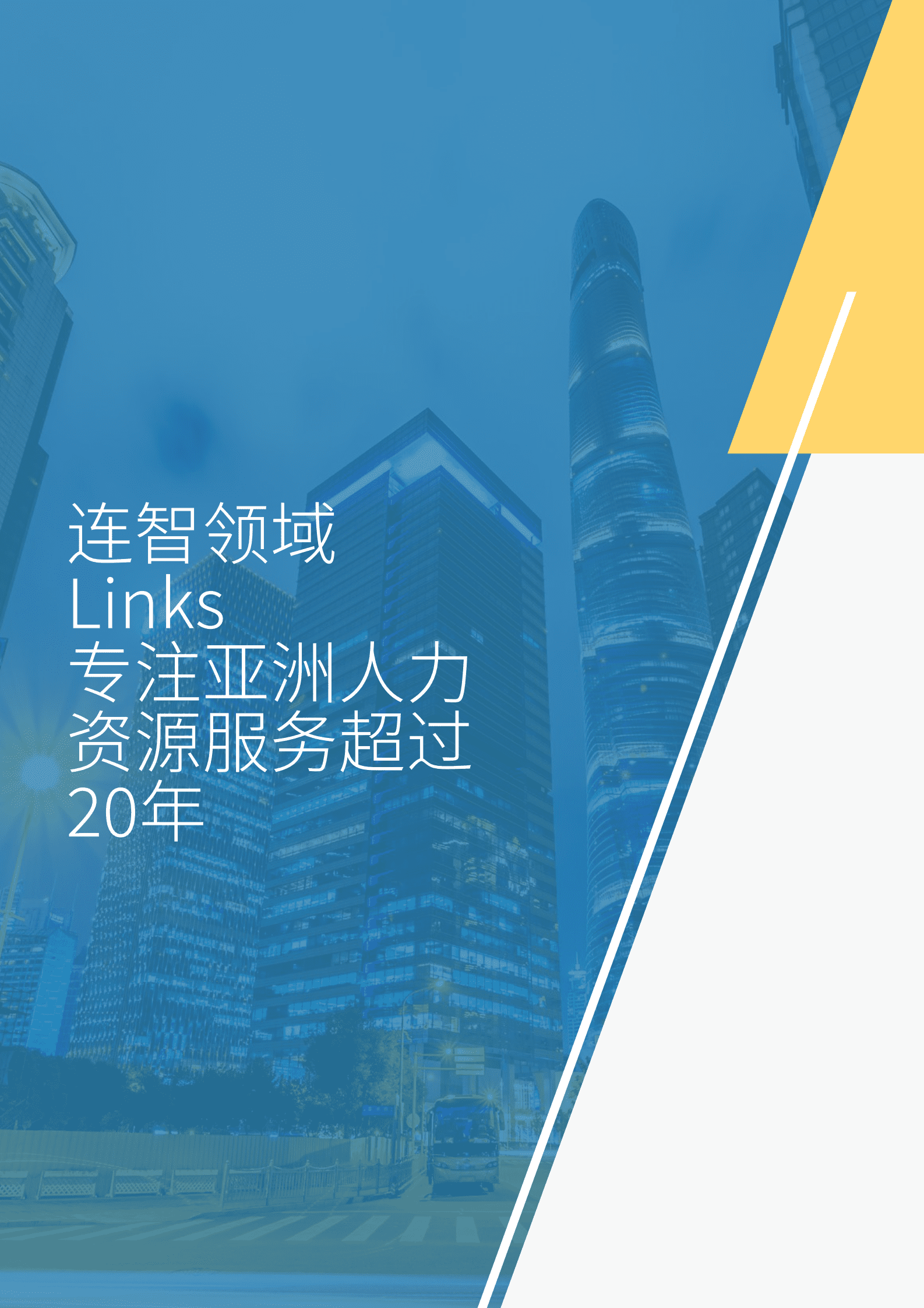 连智领域：2023薪资指南（亚太版） 第4页