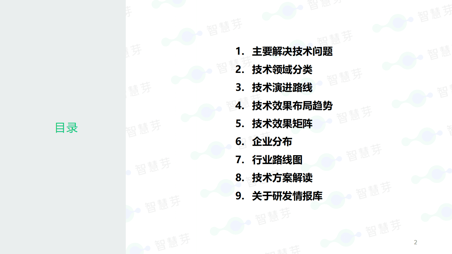 智慧芽：液态电池分析报告 第2页