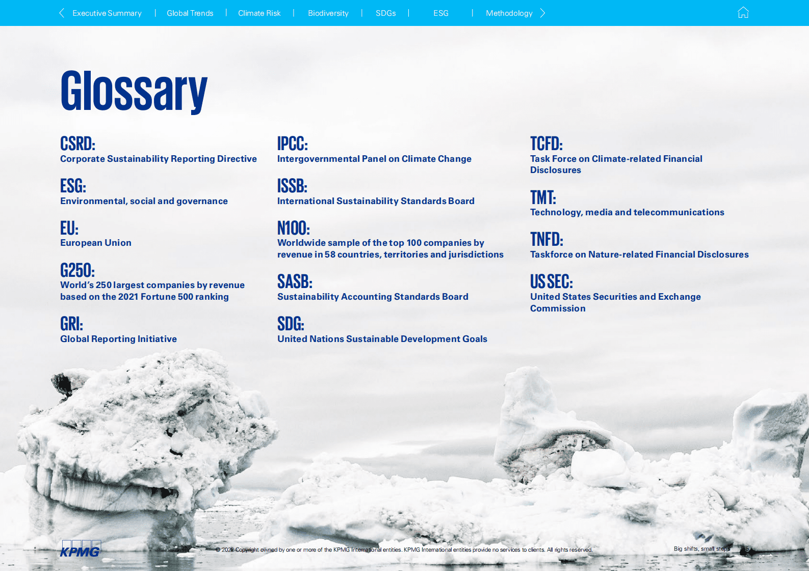 毕马威：2022年可持续发展报告【英文版】 第5页