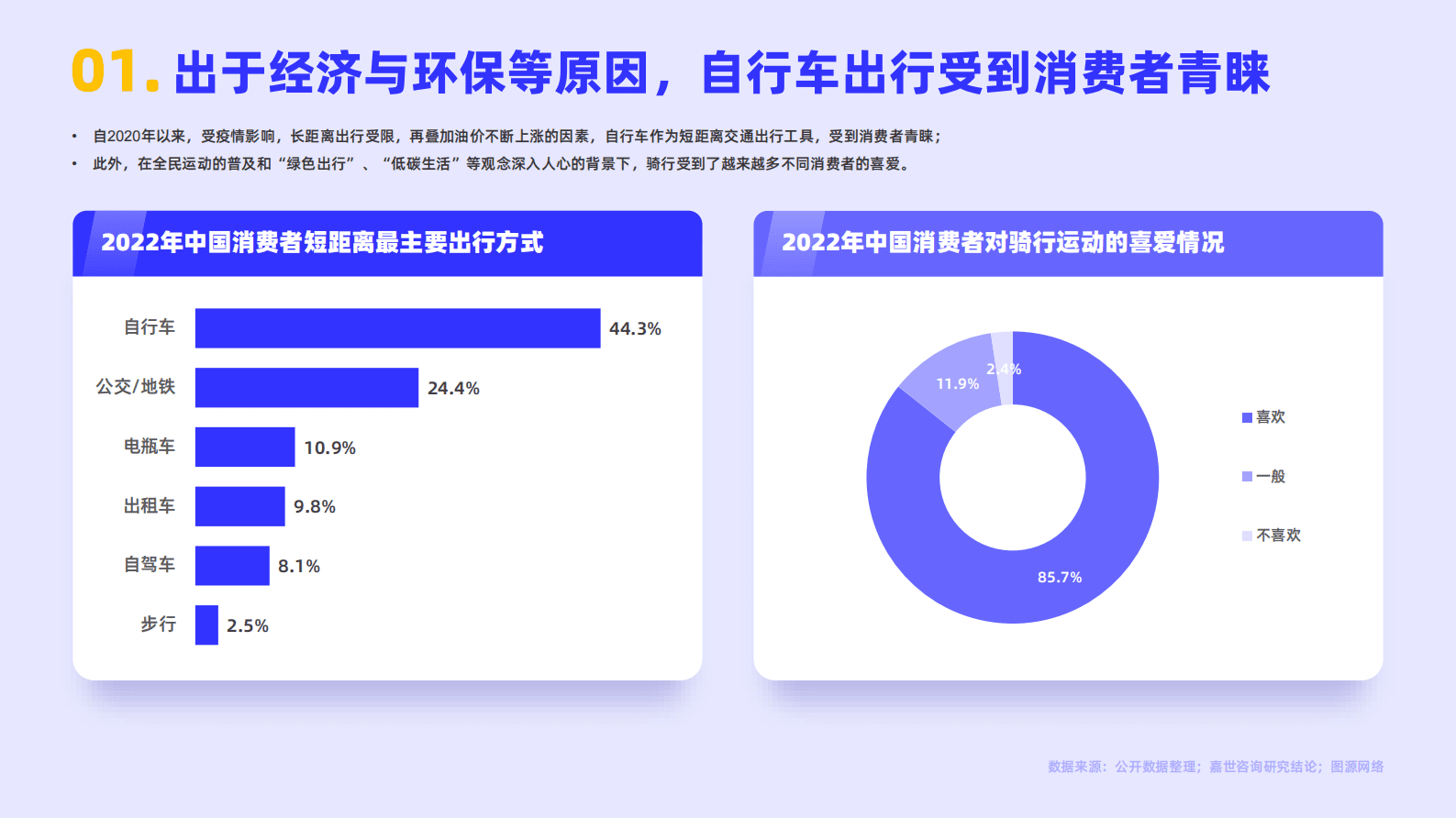 嘉世咨询：2022国内自行车行业简析报告 第2页