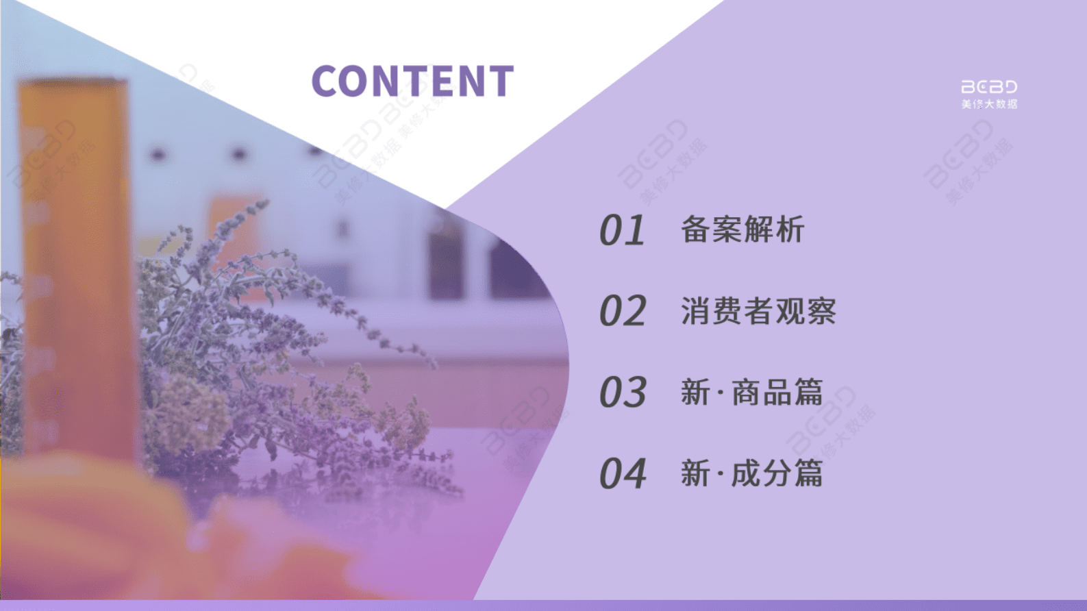 美丽修行：2023年2月美妆行业月报 第2页