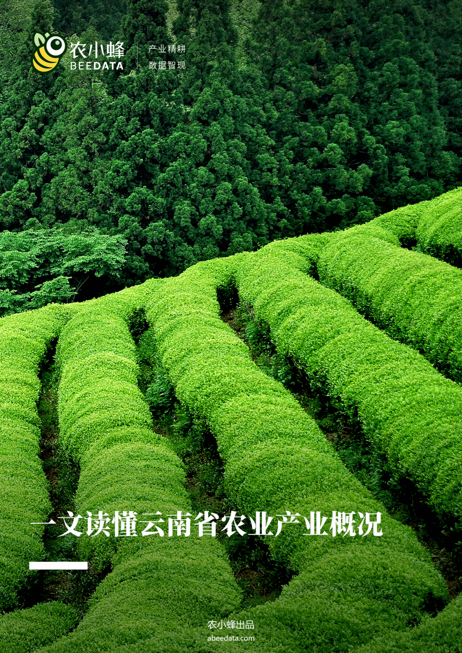 农小蜂：一文读懂云南省农业产业概况 第1页