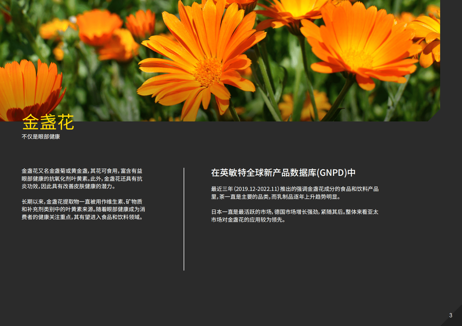 英敏特：2023热门成分盘点：饮食有道 第5页