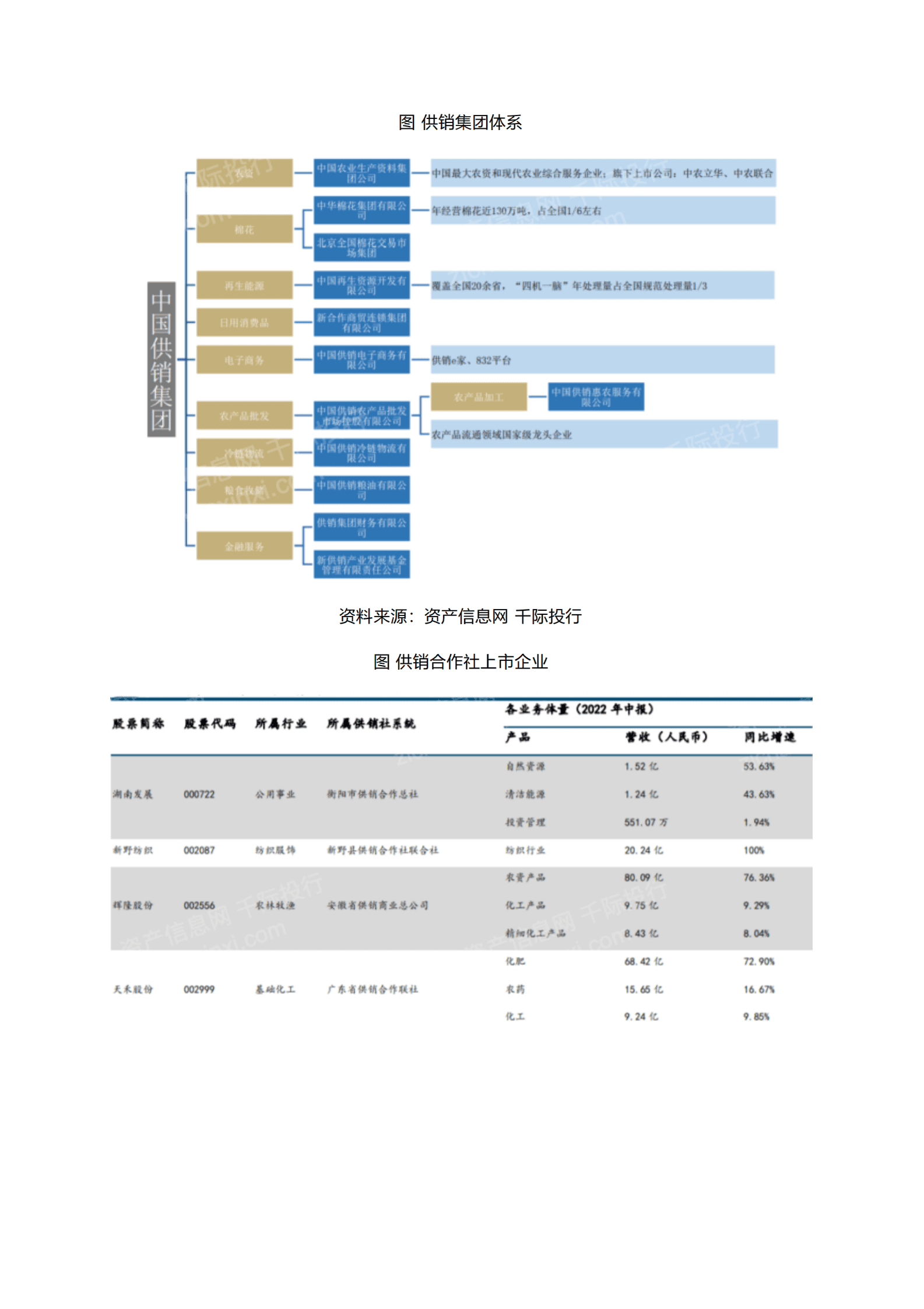 千际投行：2023年供销合作社研究报告 第5页