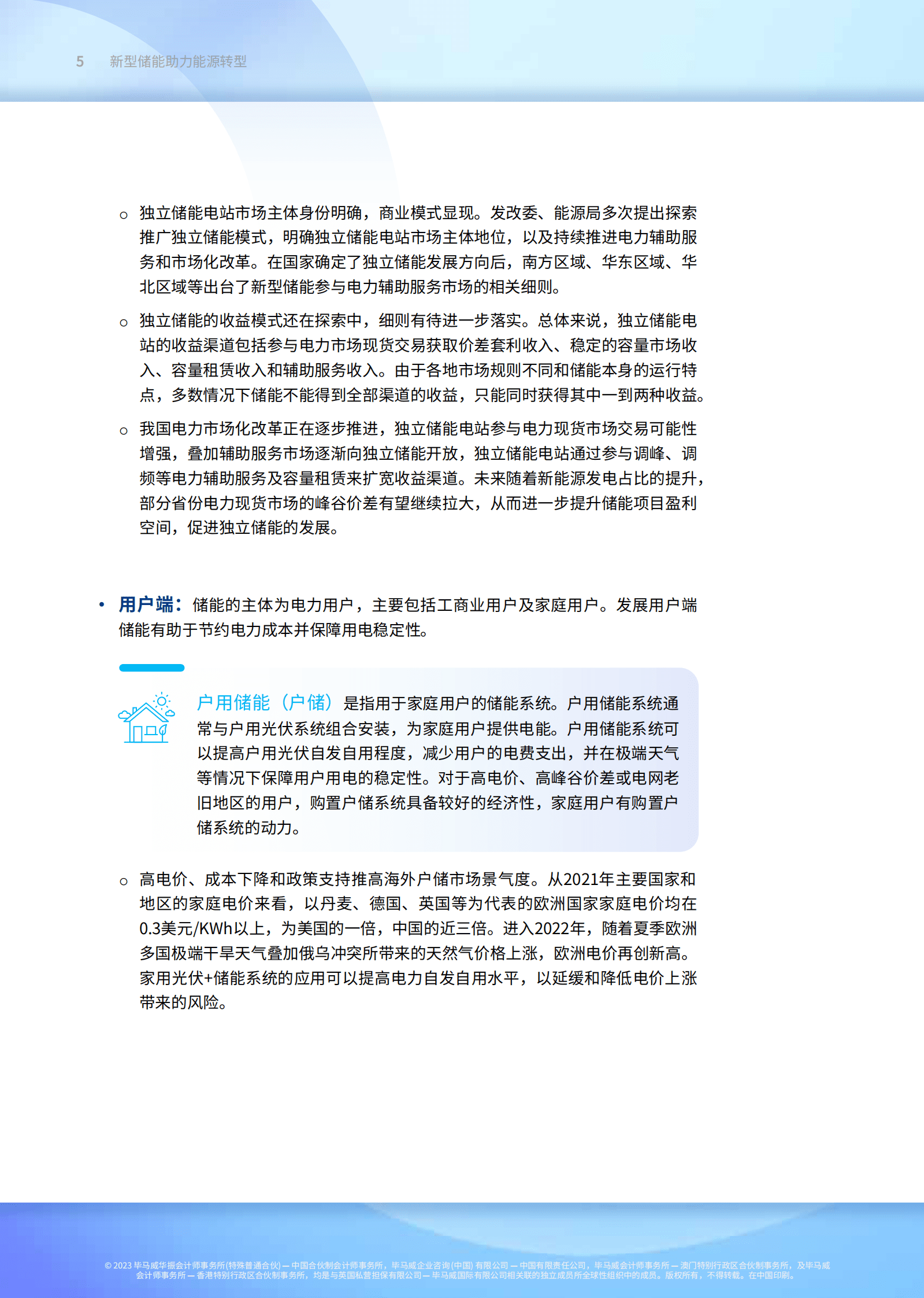 毕马威：新型储能助力能源转型报告 第6页