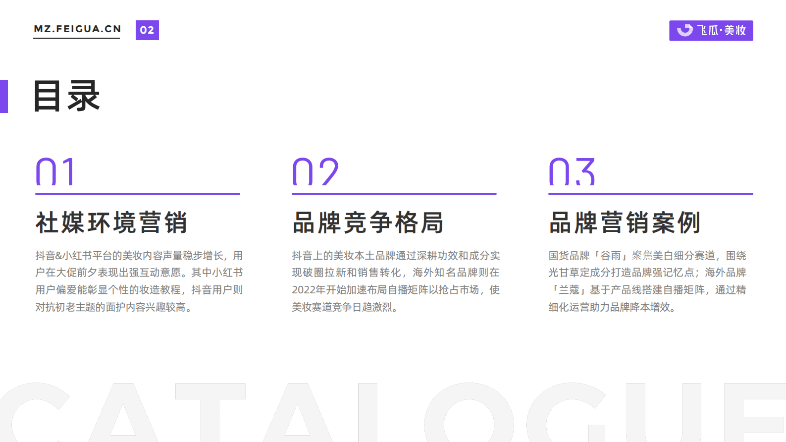 飞瓜：2022年度美妆品牌社媒营销观察 第3页