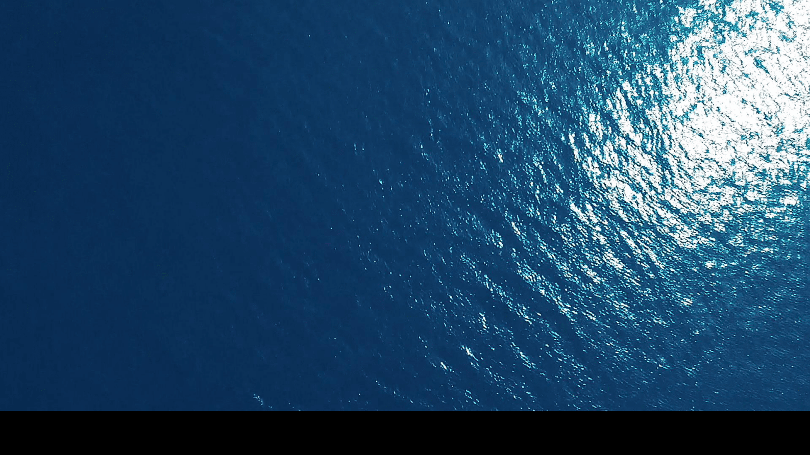 菜鸟：助力企业提升供应链数智化能力 第3页