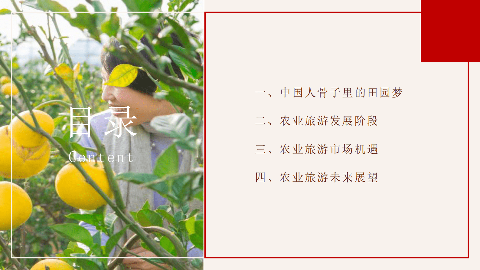 GIC：农业旅游洞察报告2022 第2页