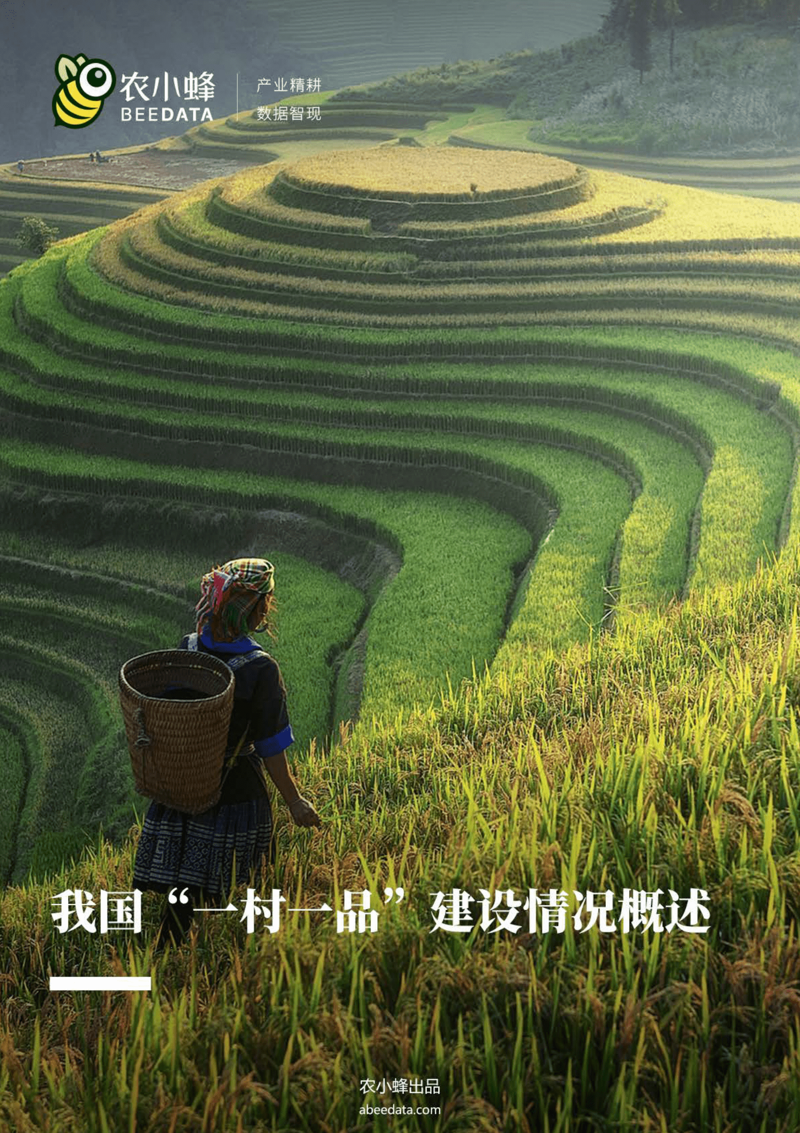 农小蜂：我国&ldquo;一村一品&rdquo;建设情况概述 第1页