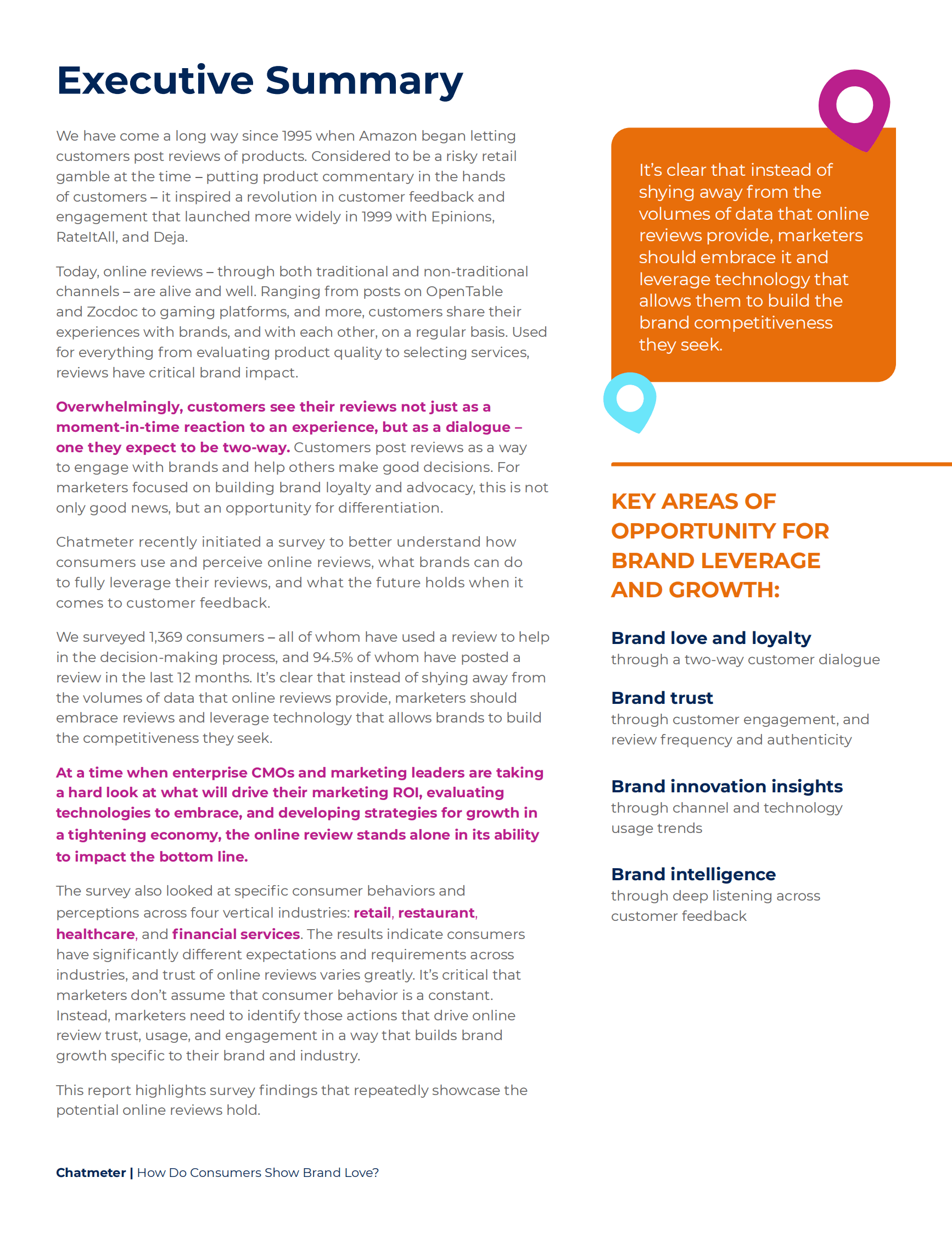 Chatmeter：消费者品牌点赞与网络对话【英文版】 第2页