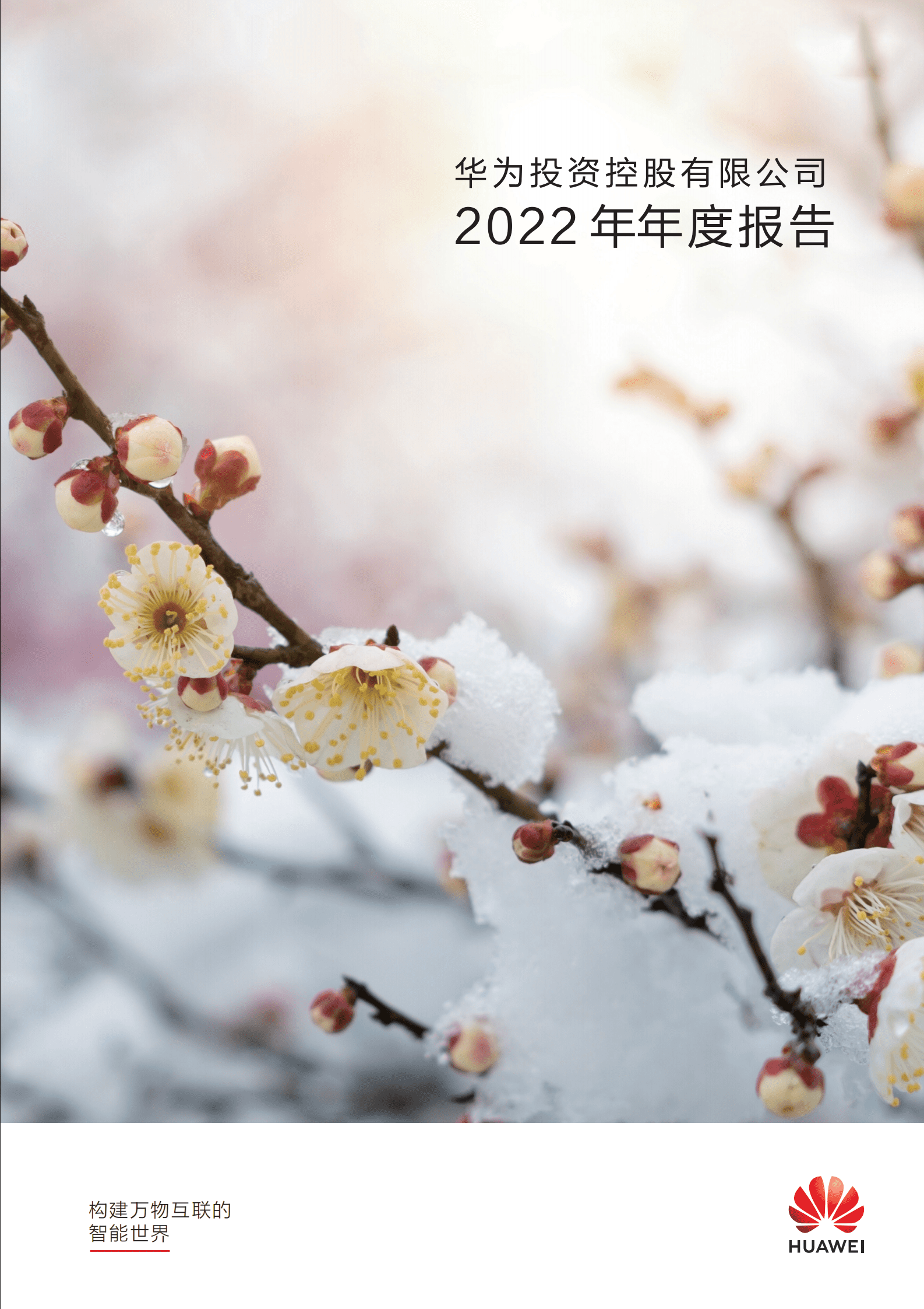 华为：2022年年度报告 第1页