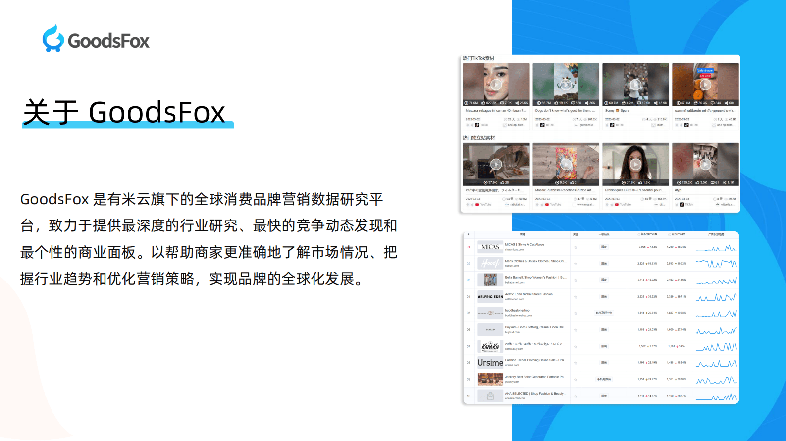 GoodsFox：全球服装行业DTC品牌营销报告 第2页
