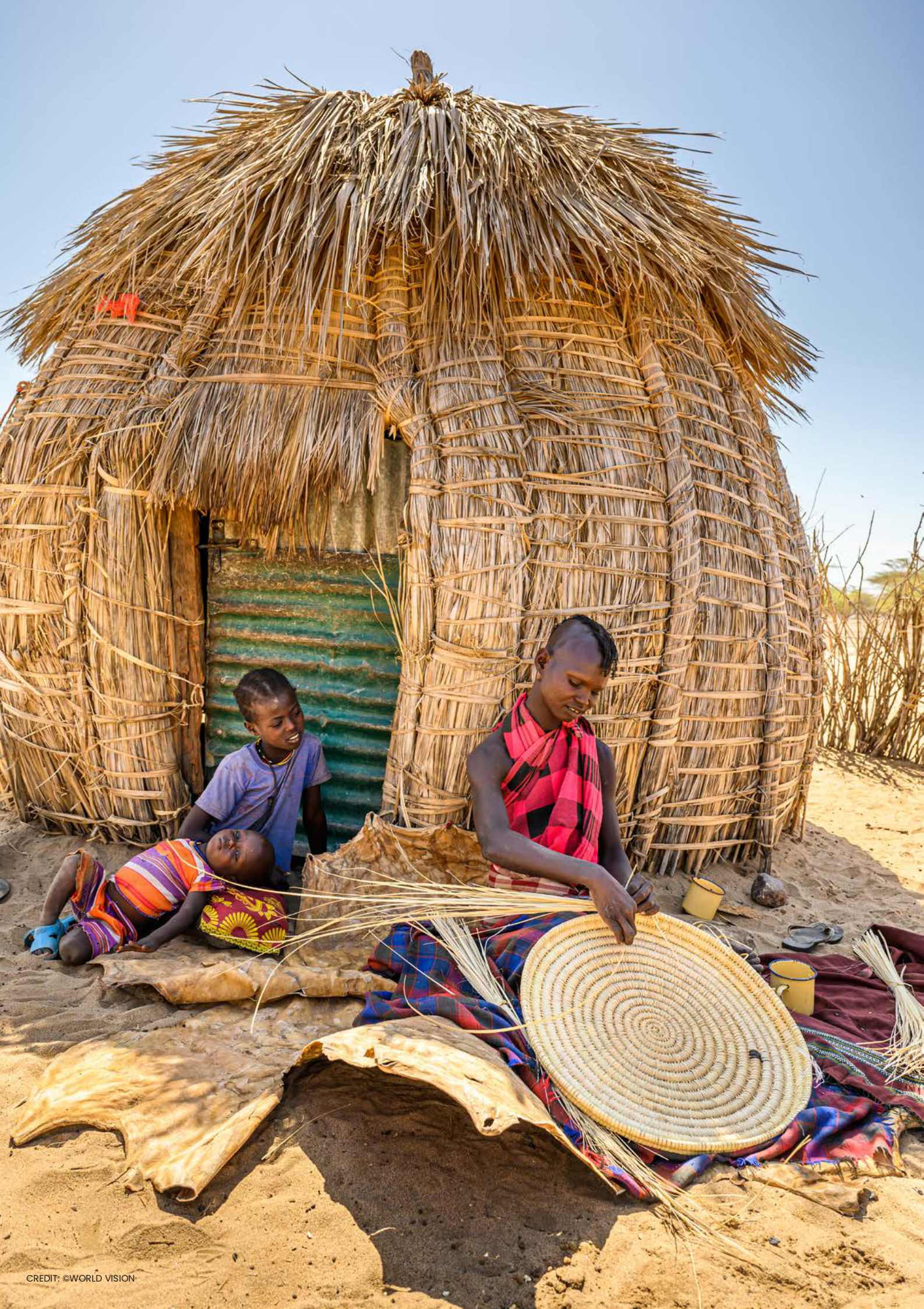 IISD：2022年国家可持续发展目标实施进展【英文版】 第2页