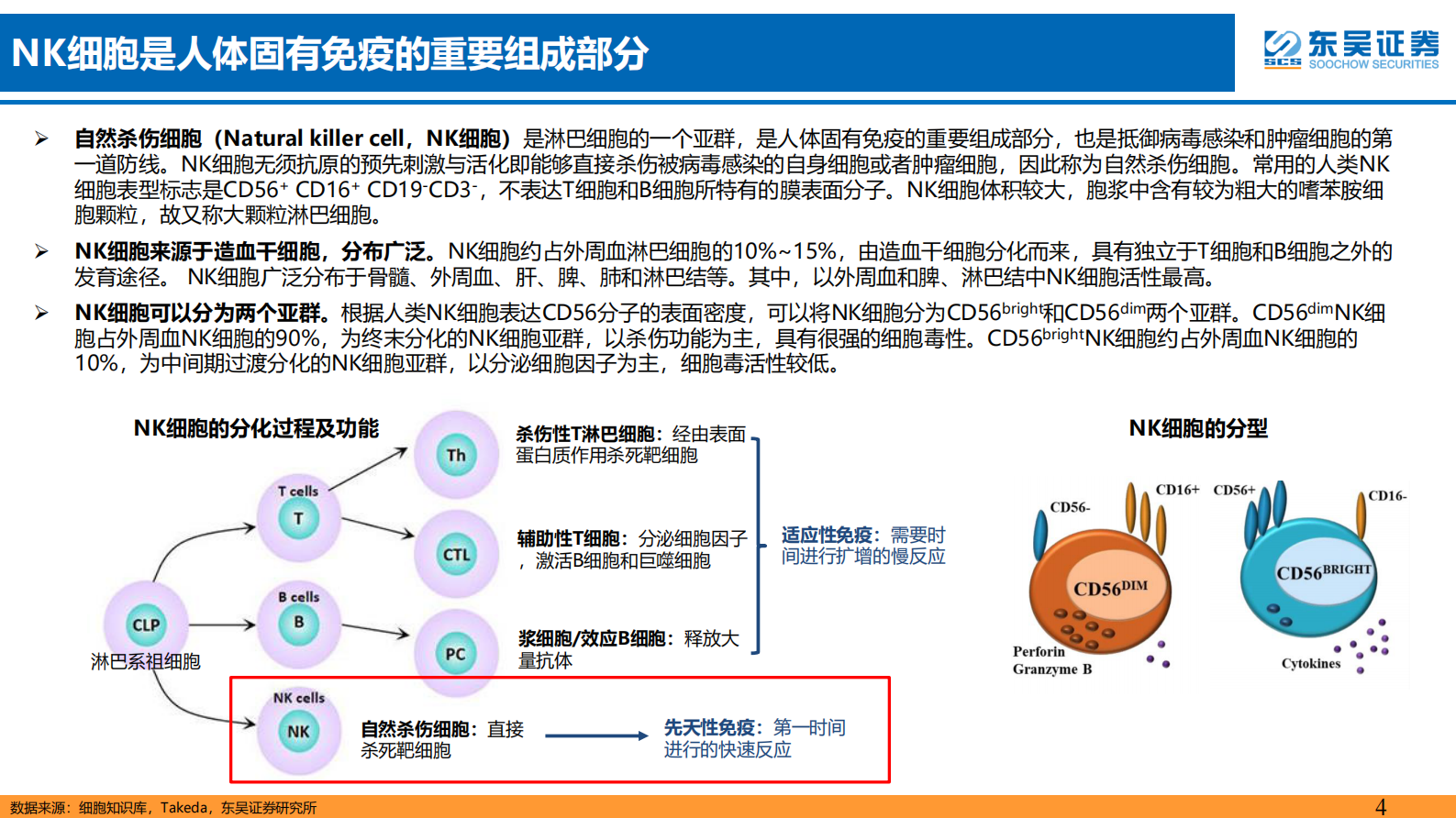 东吴证券：医药生物行业深度报告：NK细胞为免疫系统先锋队，关注其细胞免疫疗 第4页