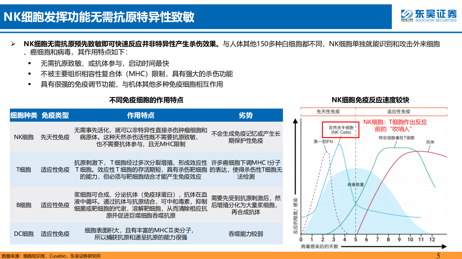 东吴证券：医药生物行业深度报告：NK细胞为免疫系统先锋队，关注其细胞免疫疗 第5页