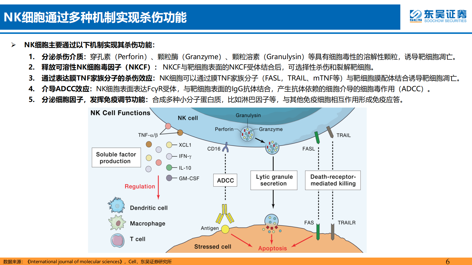 东吴证券：医药生物行业深度报告：NK细胞为免疫系统先锋队，关注其细胞免疫疗 第6页