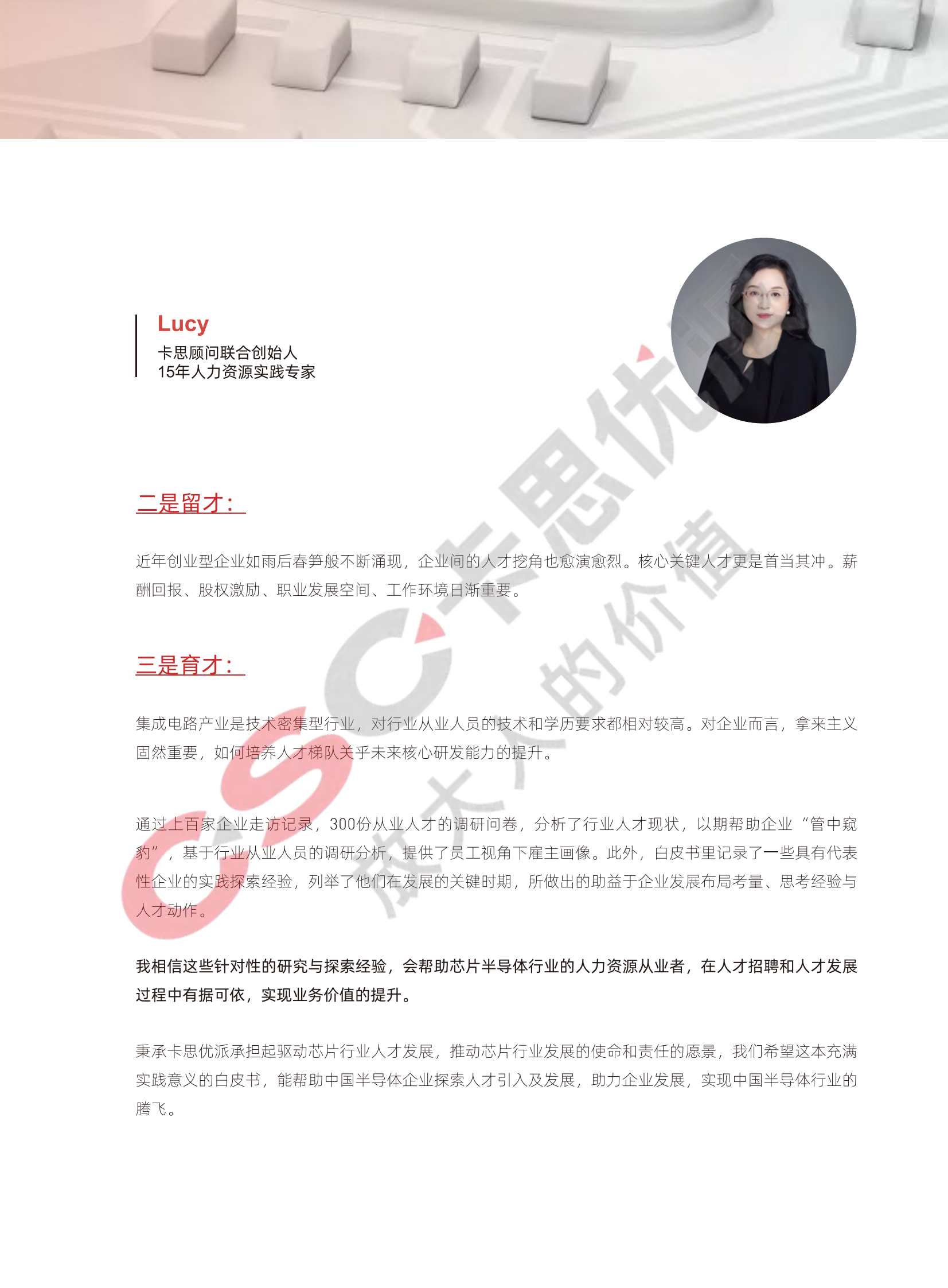 卡思优派：2022芯片半导体行业人才白皮书 第5页