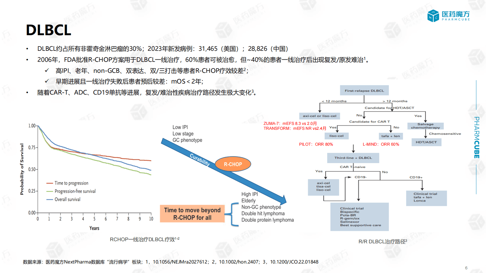 医药魔方：ODAC复盘：Pola-R-CHP用于弥漫大B细胞淋巴瘤一线治疗 第6页